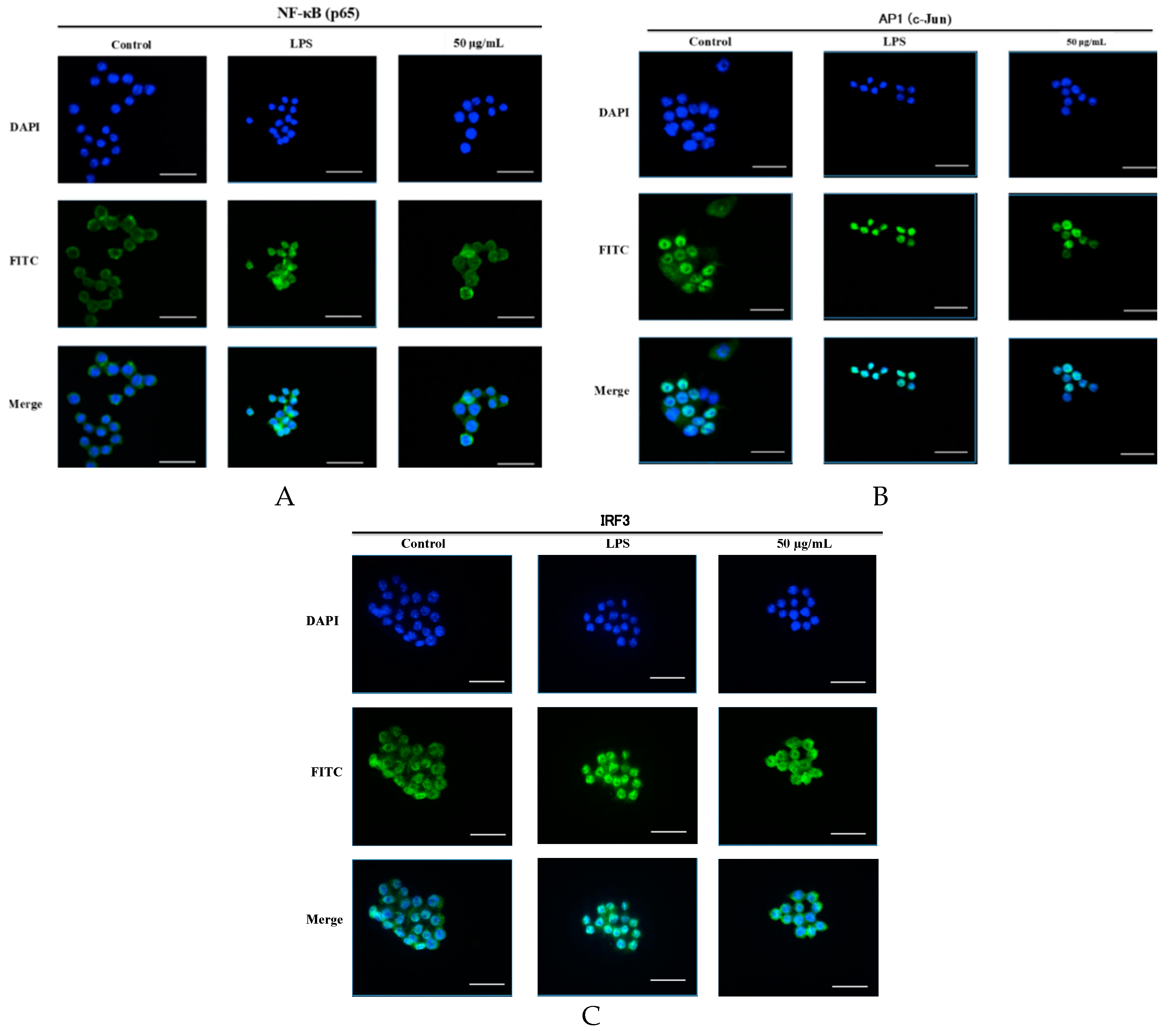 Molecules 23 03319 g008 Molecules 23 03319 g008