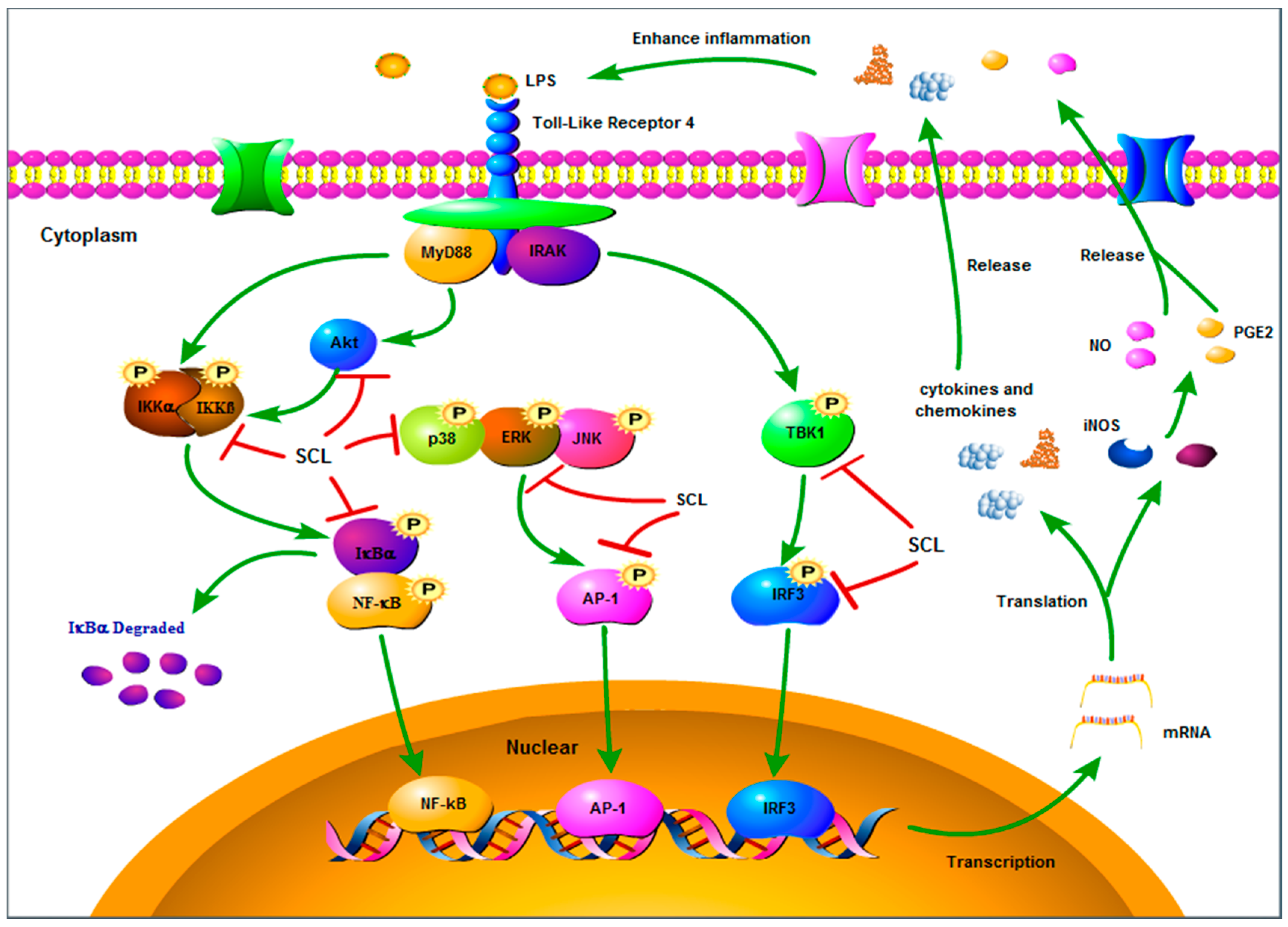 Molecules 23 03319 g009 Molecules 23 03319 g009