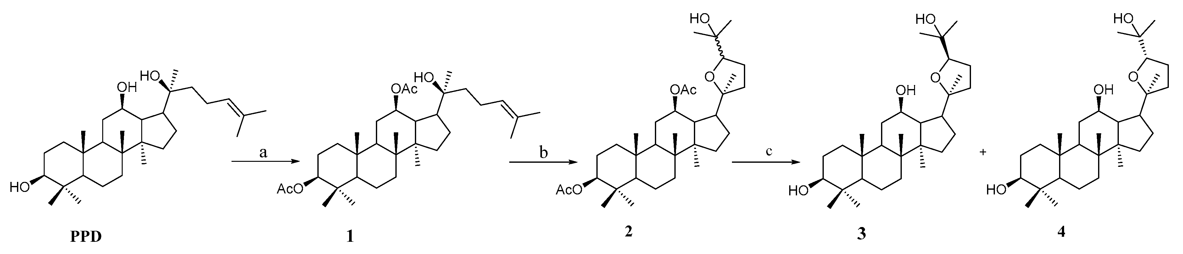 Molecules 23 03320 sch001 Molecules 23 03320 sch001