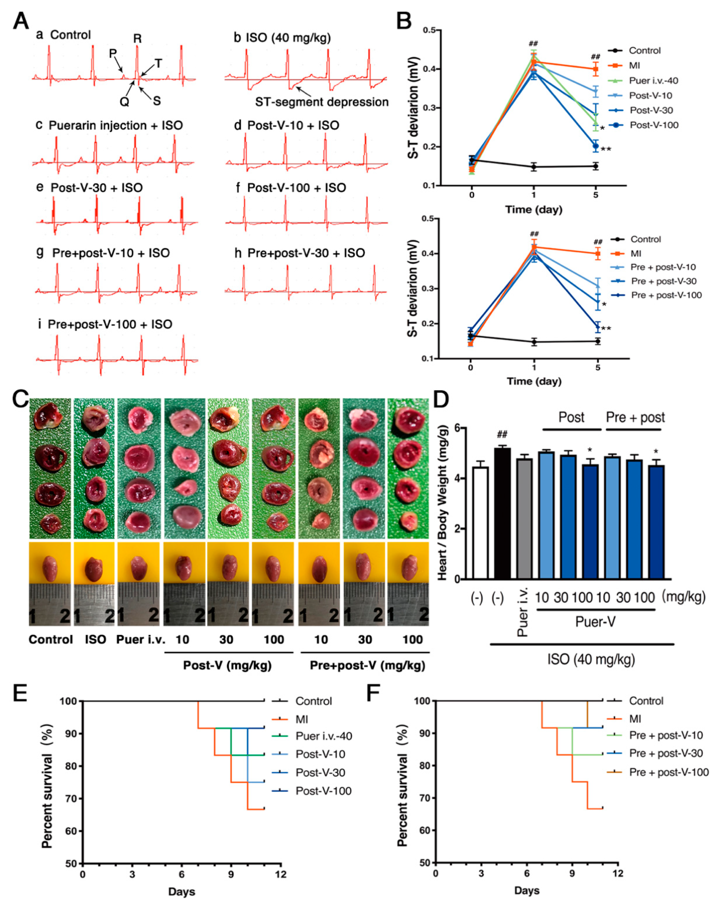 Molecules 23 03322 g002