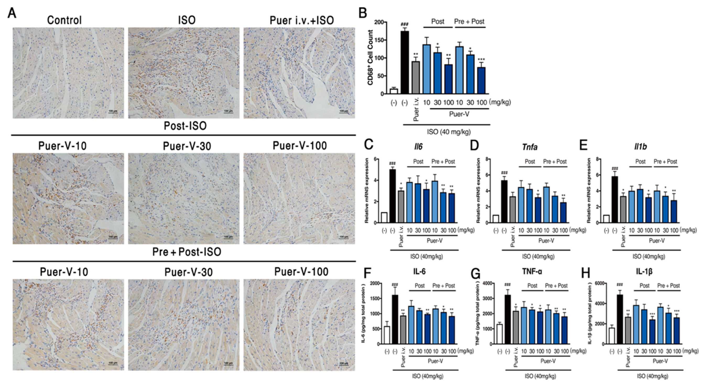 Molecules 23 03322 g004