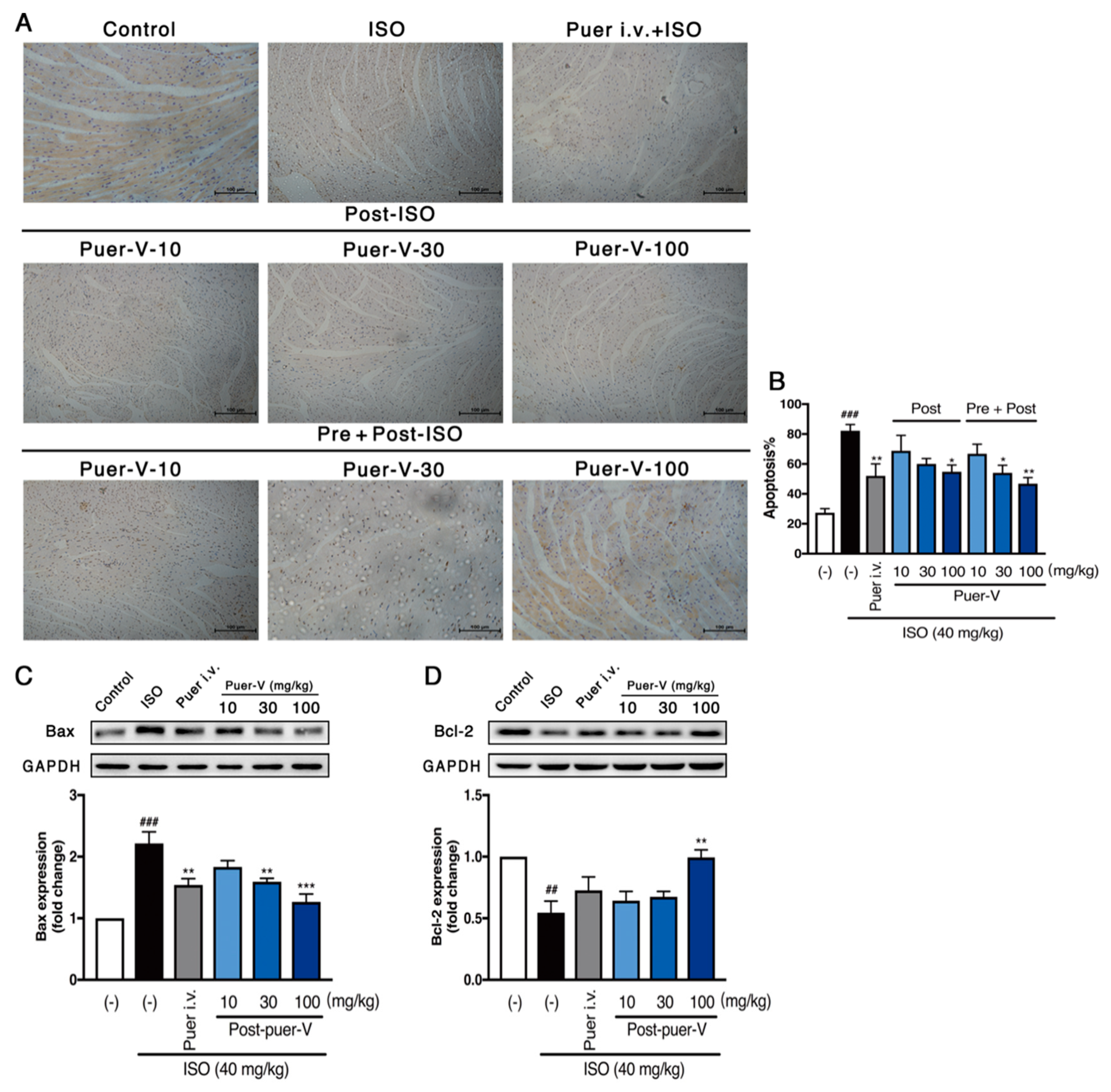 Molecules 23 03322 g005