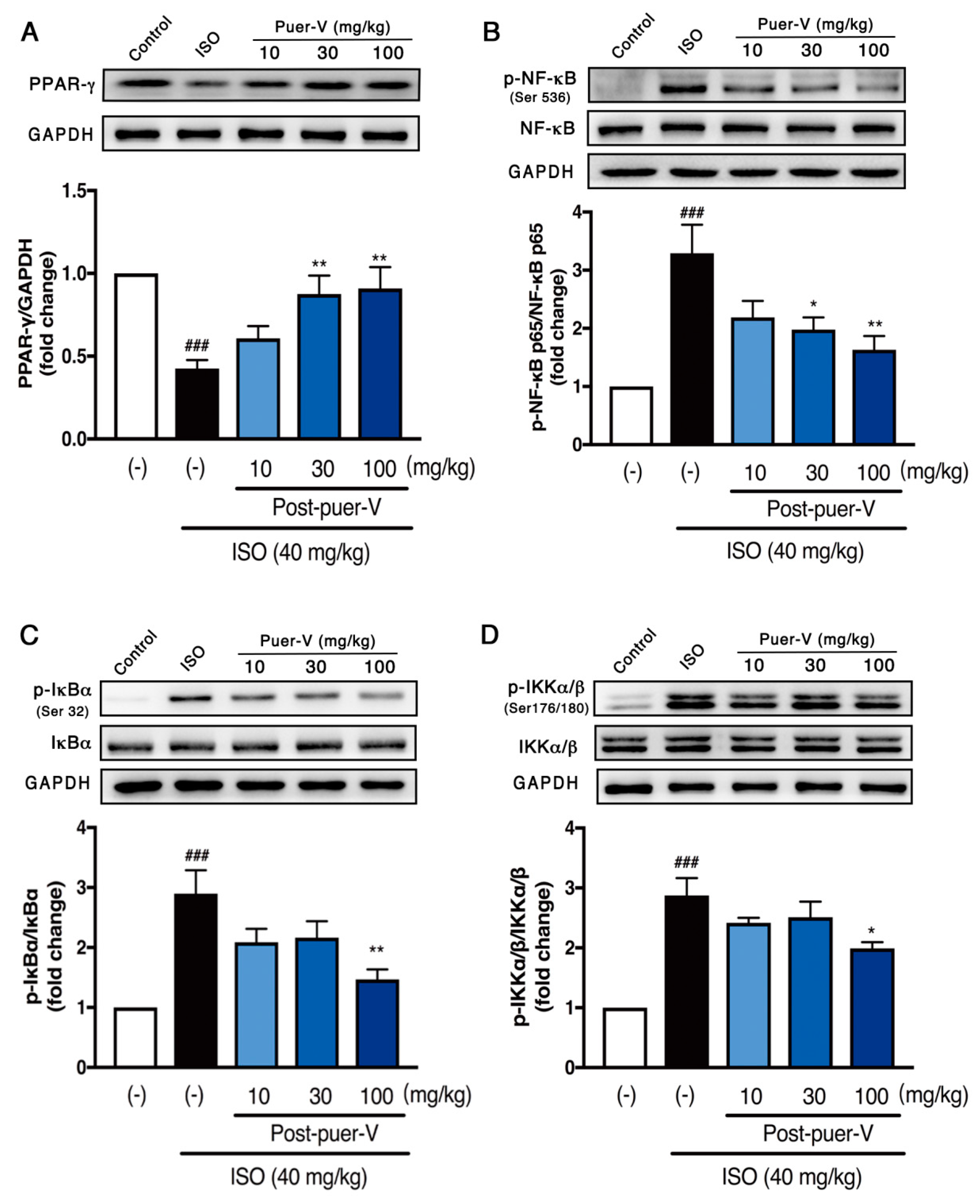 Molecules 23 03322 g006