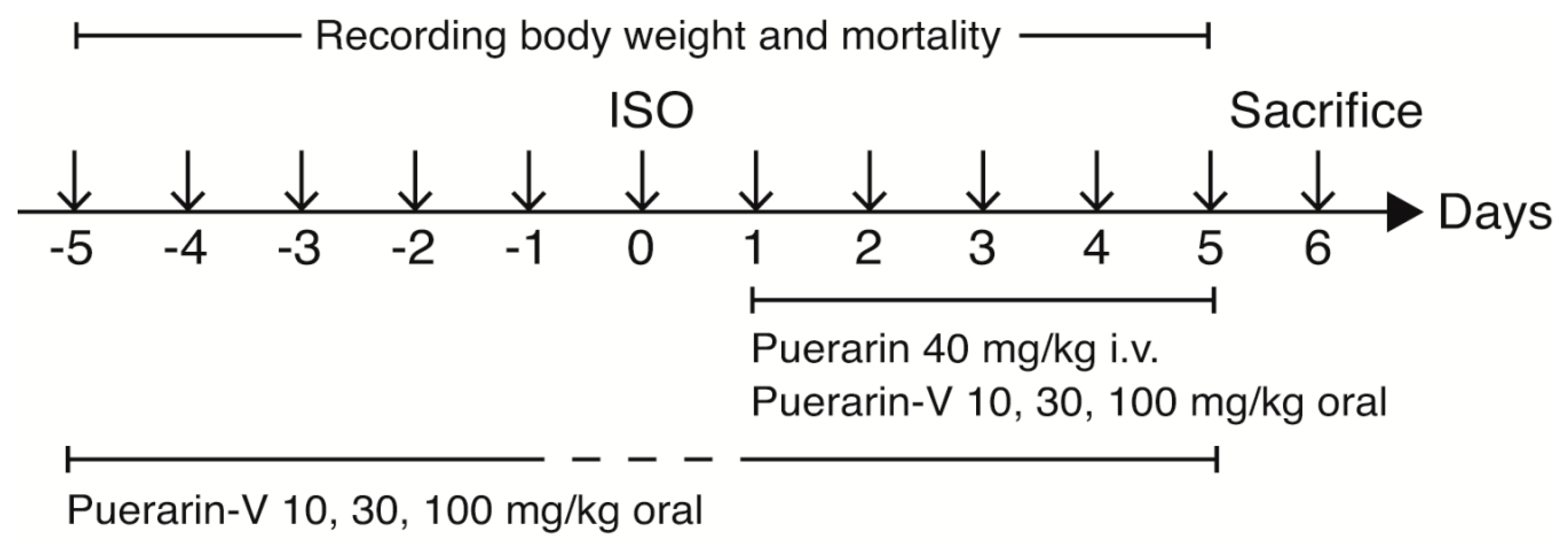 Molecules 23 03322 g009