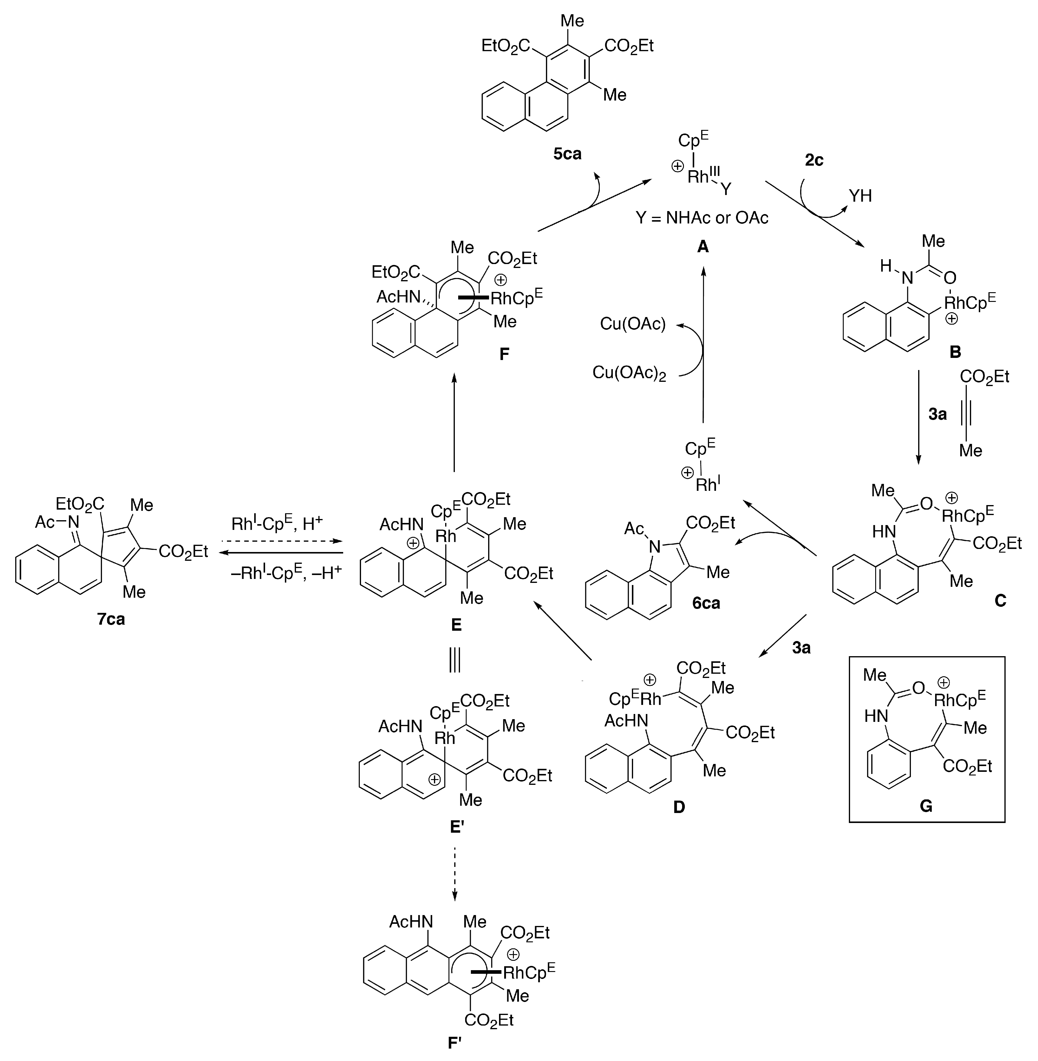 Molecules 23 03325 sch004