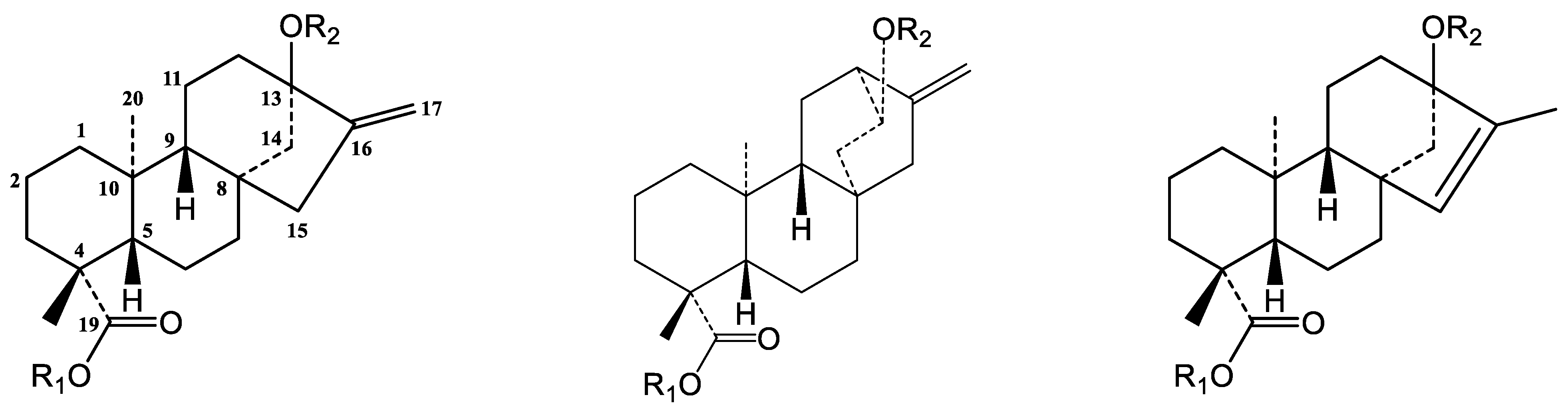 Molecules 23 03328 g003