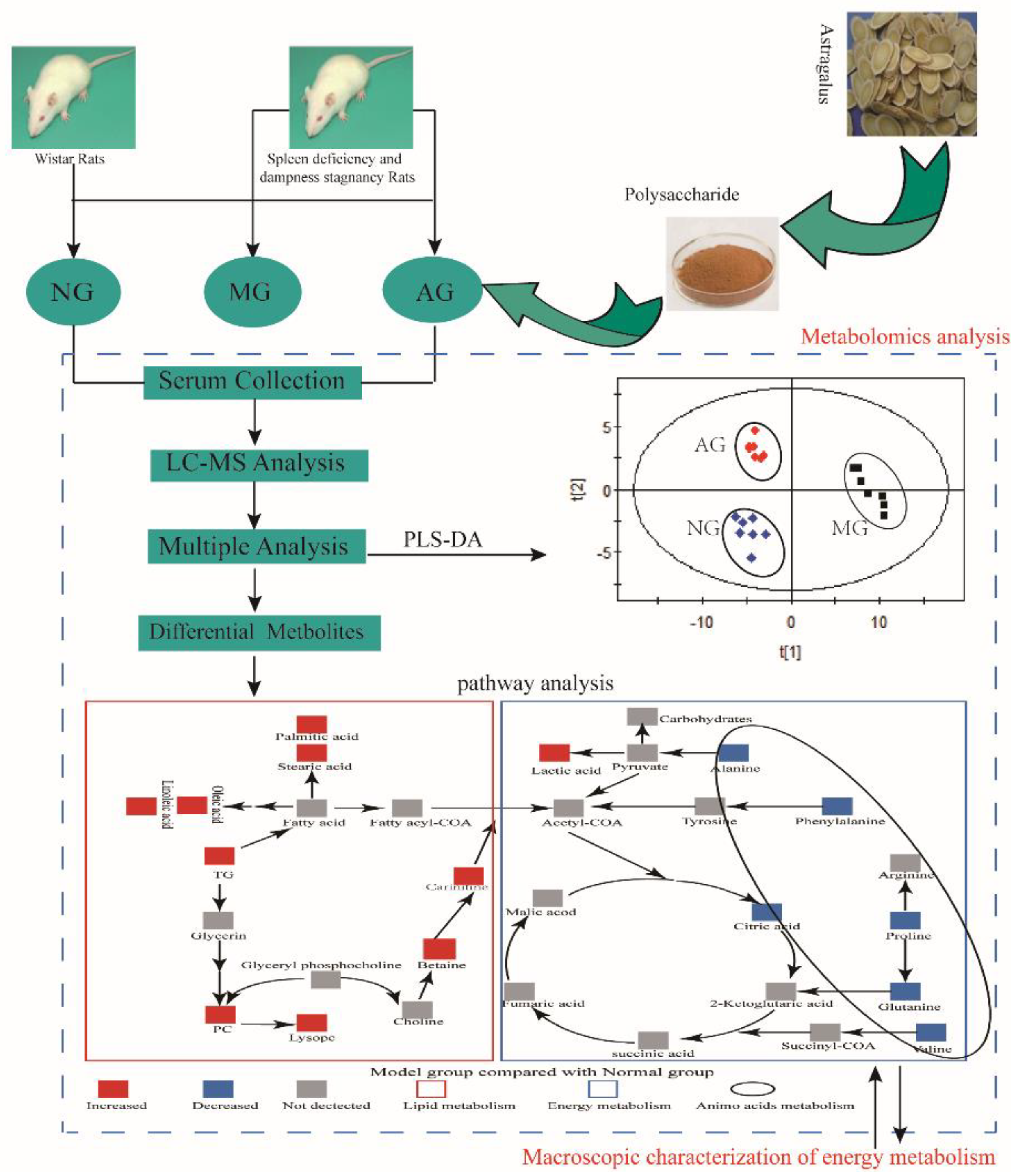 Molecules 23 03333 g005