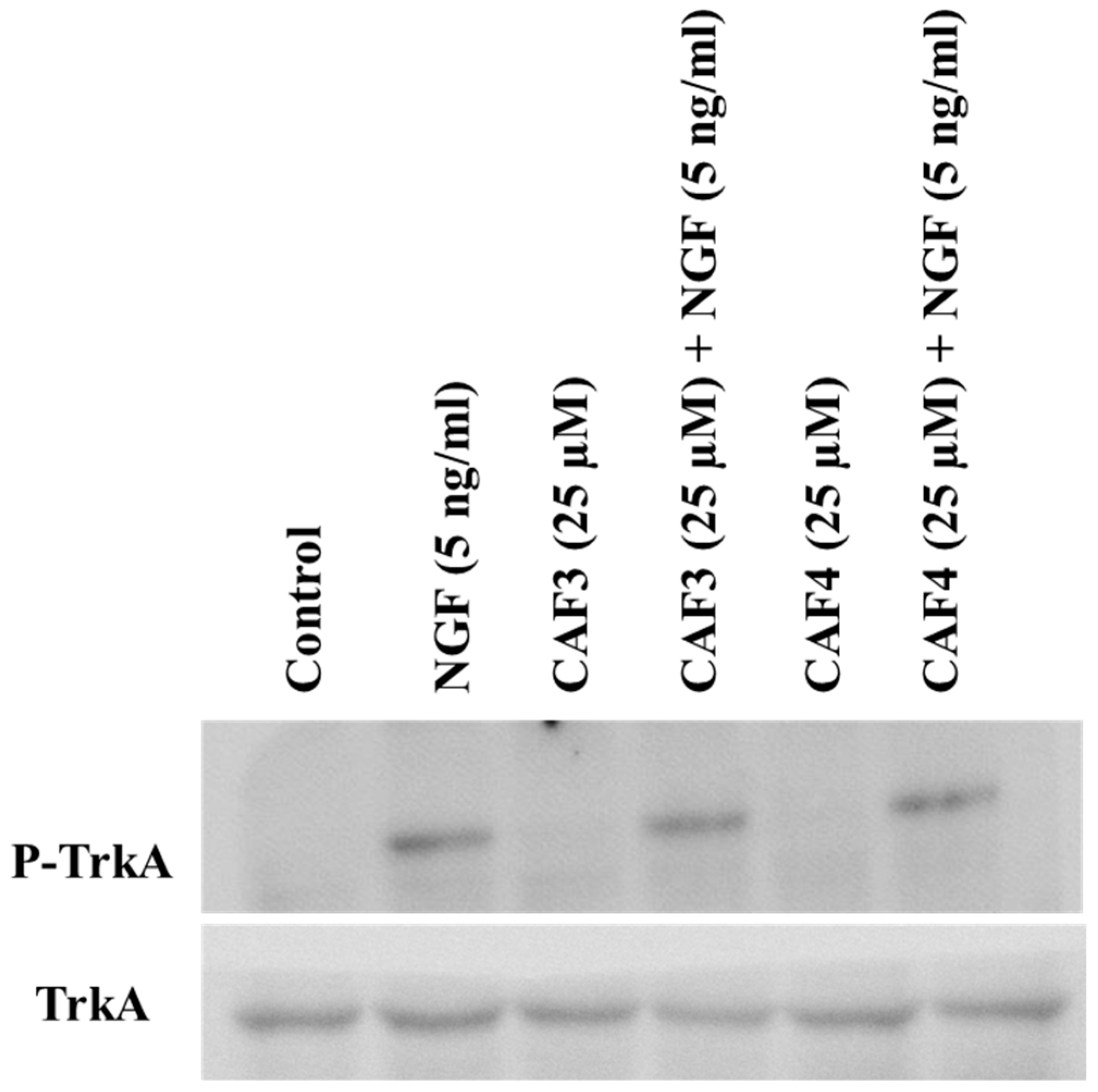 Molecules 23 03340 g004
