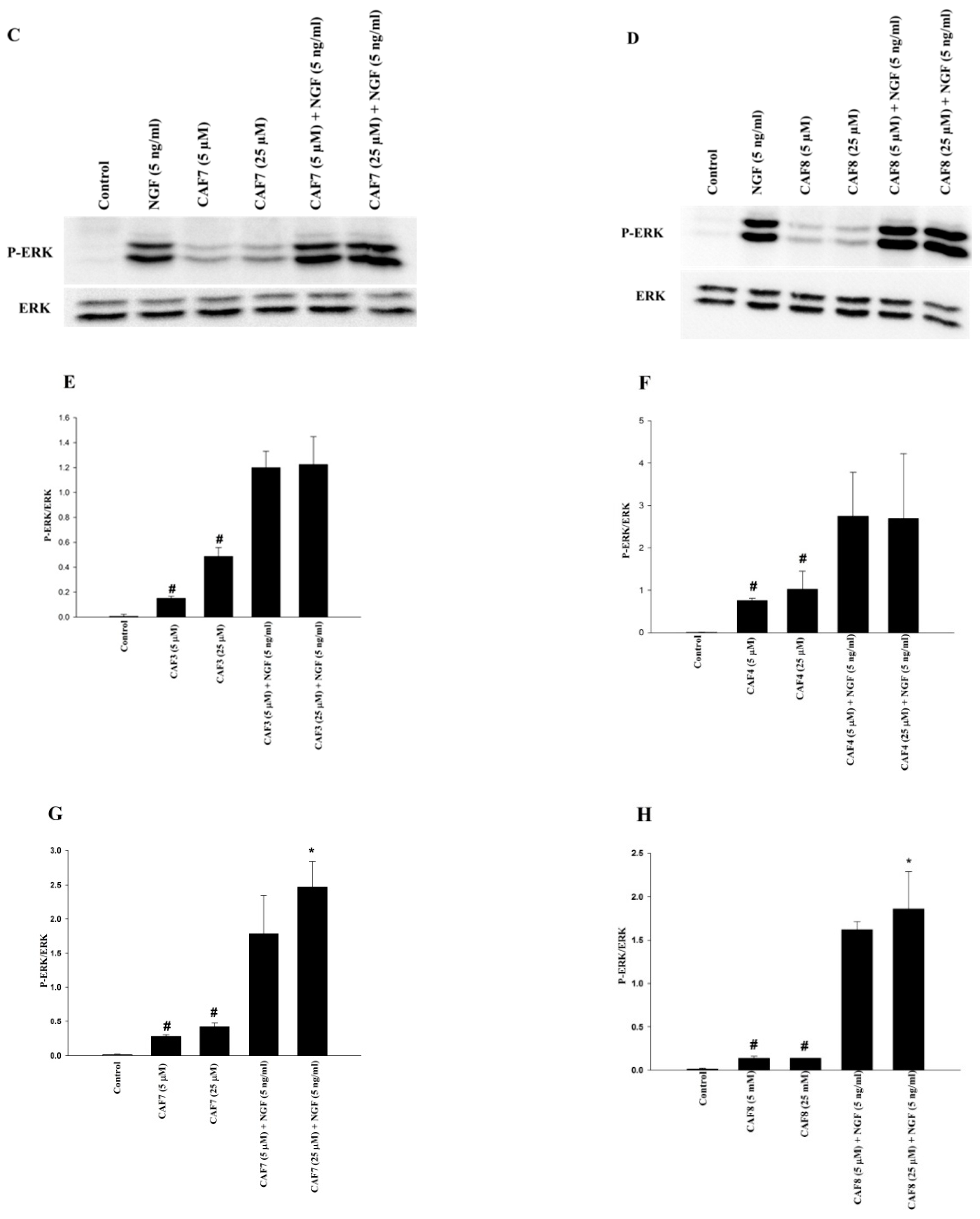 Molecules 23 03340 g005b