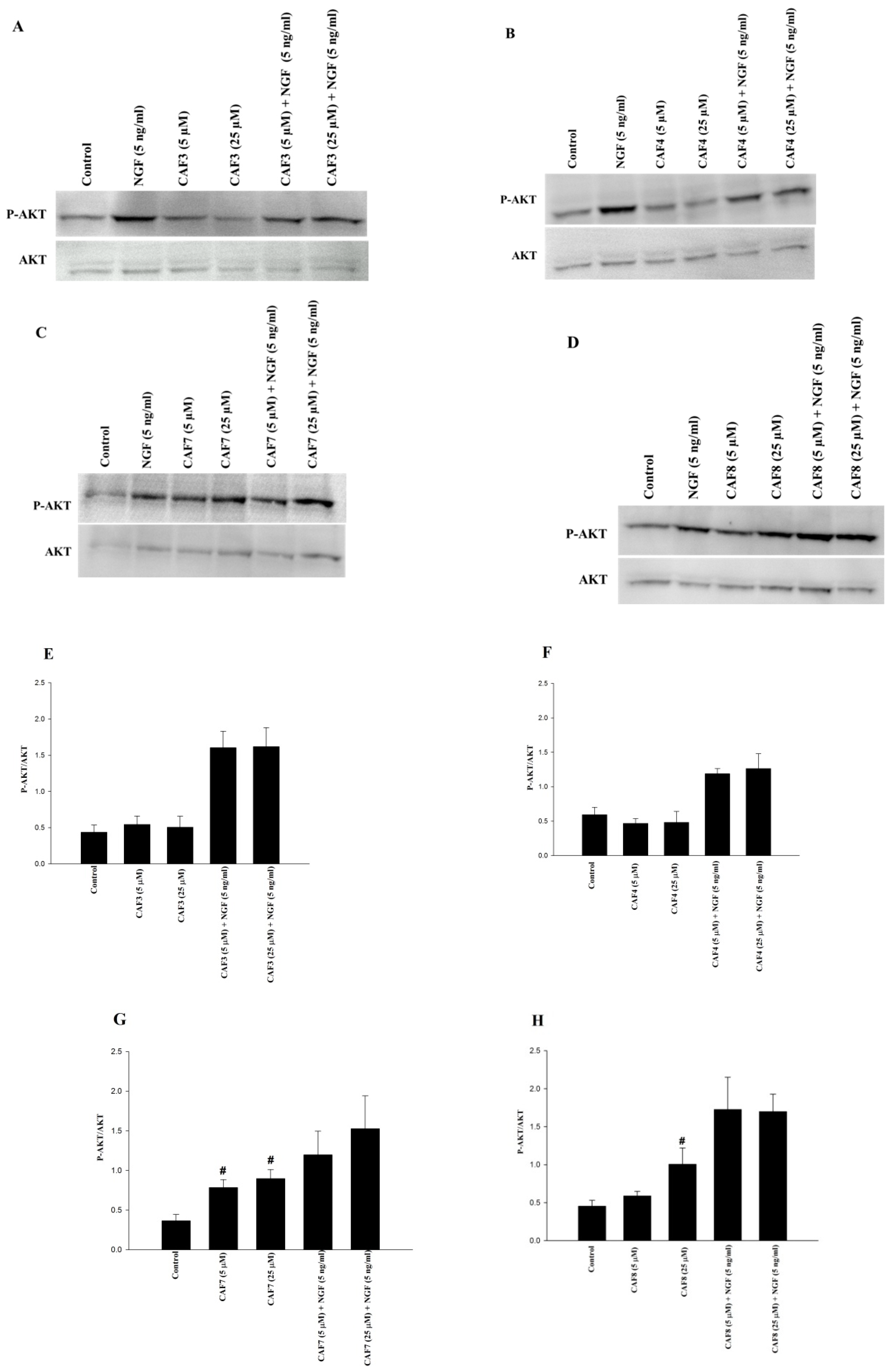 Molecules 23 03340 g006