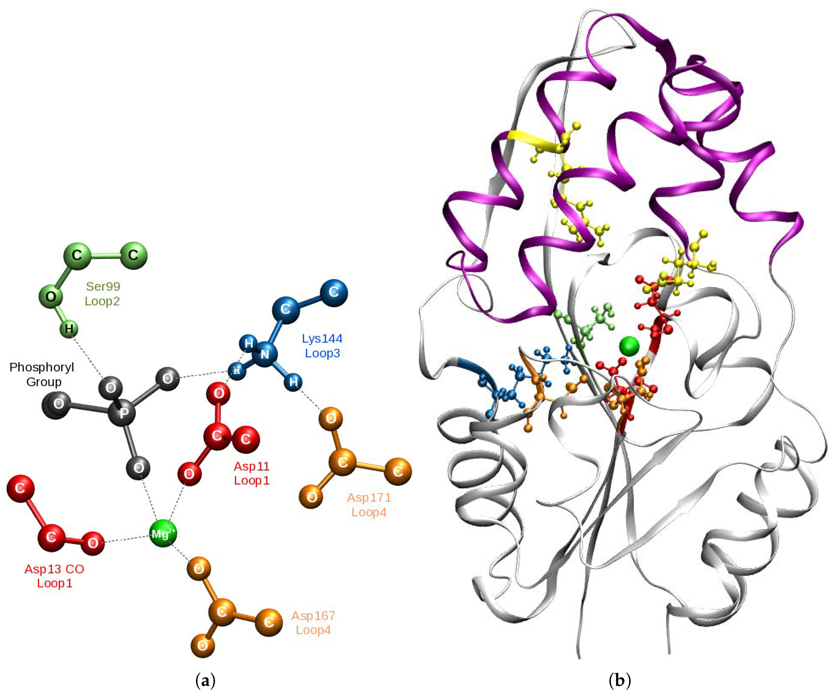 Molecules 23 03342 g001 Molecules 23 03342 g001