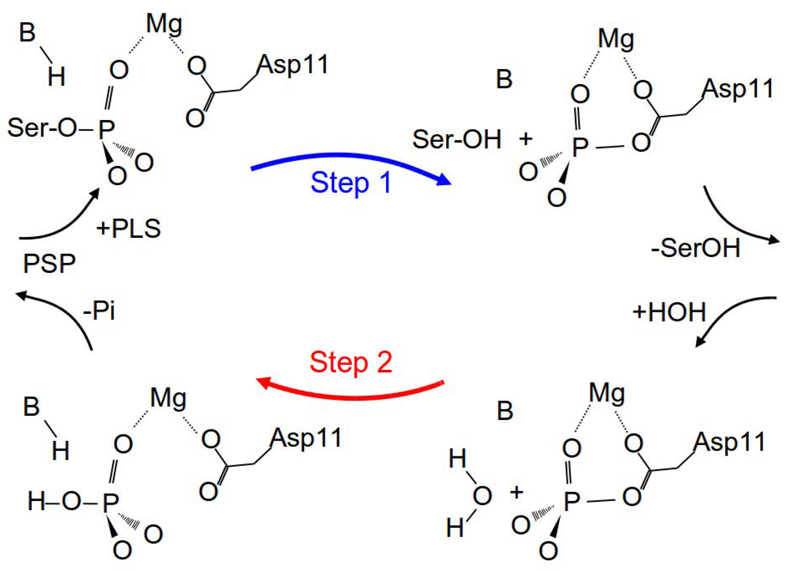 Molecules 23 03342 g002 Molecules 23 03342 g002