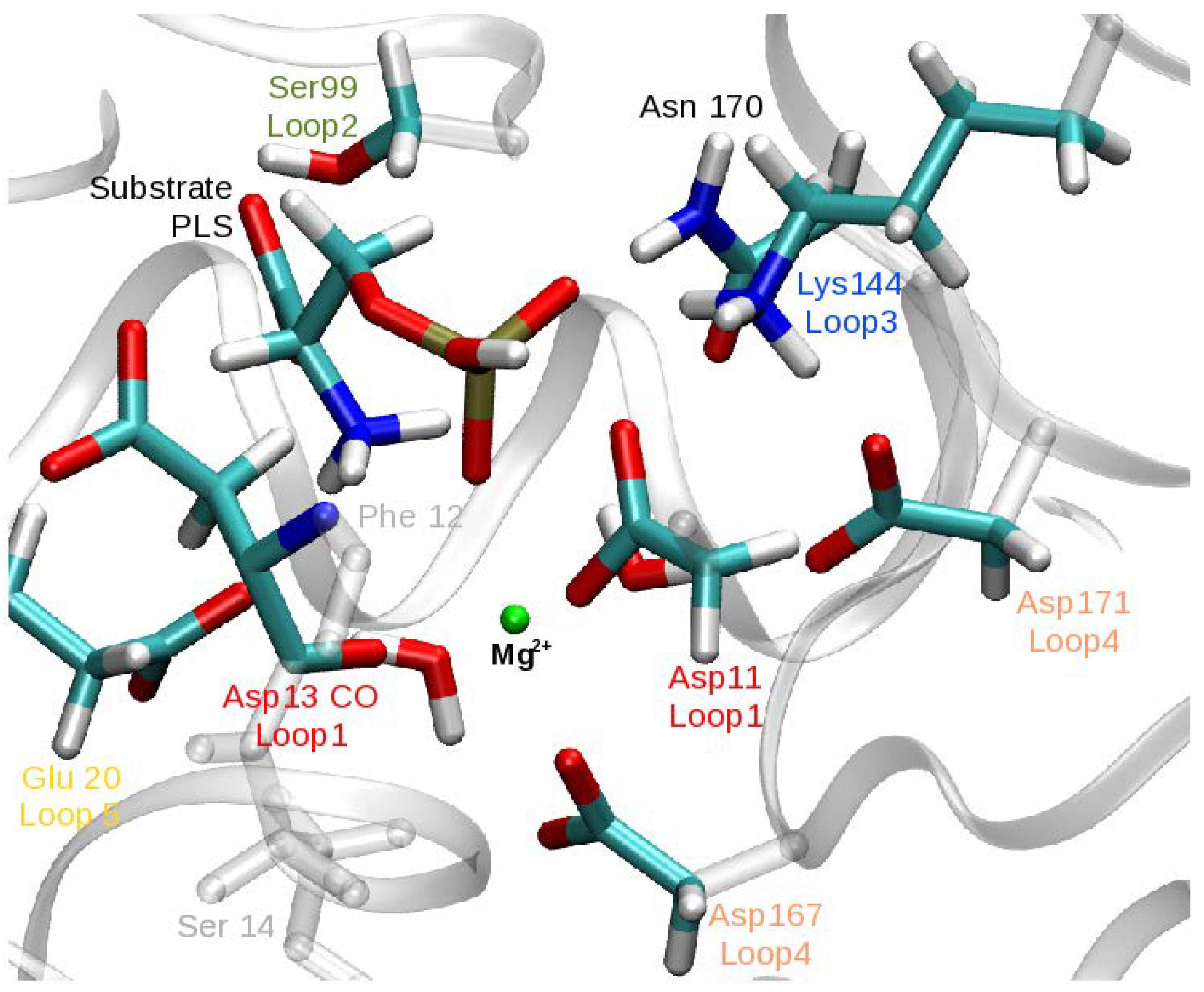 Molecules 23 03342 g003 Molecules 23 03342 g003