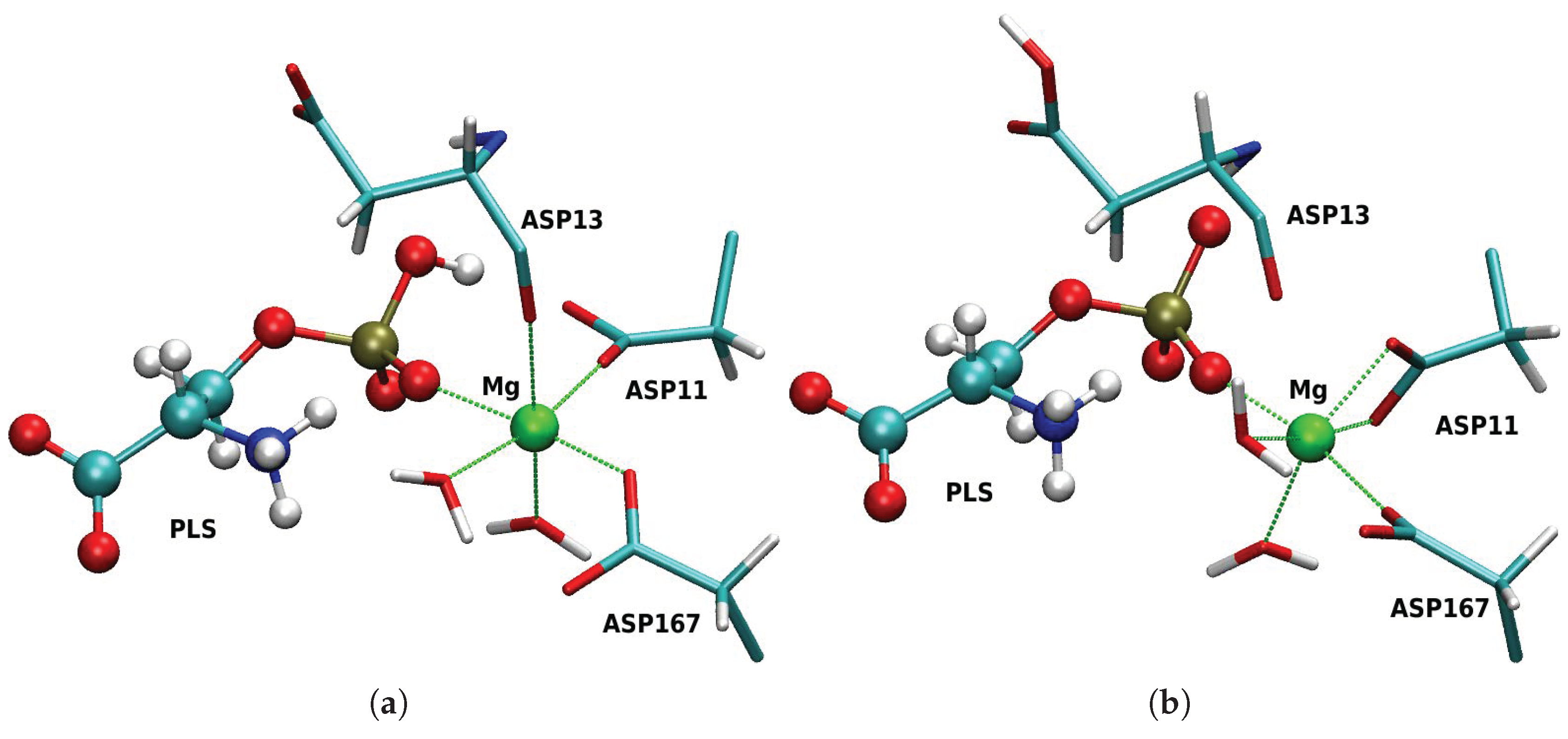 Molecules 23 03342 g004 Molecules 23 03342 g004