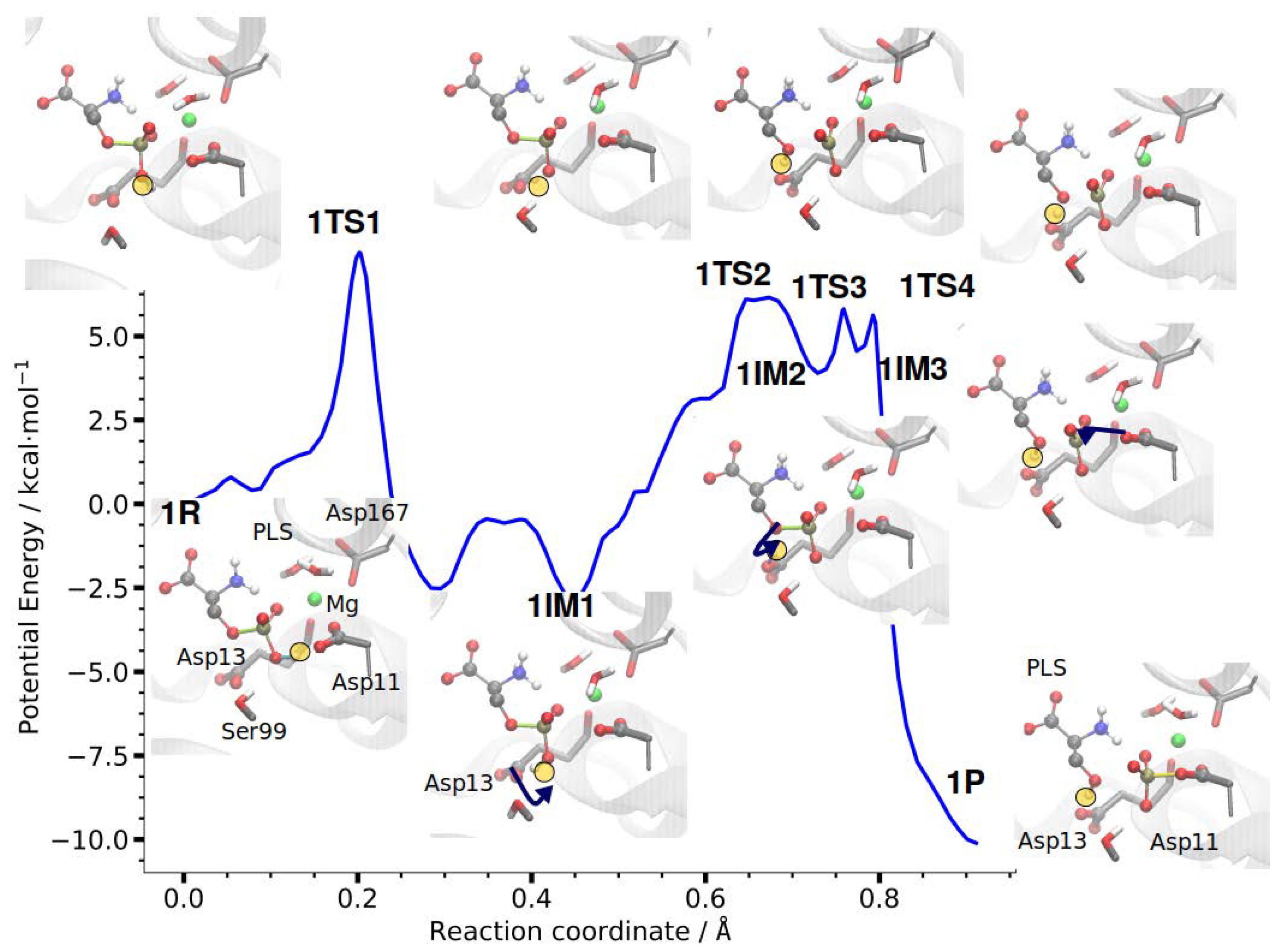 Molecules 23 03342 g005 Molecules 23 03342 g005