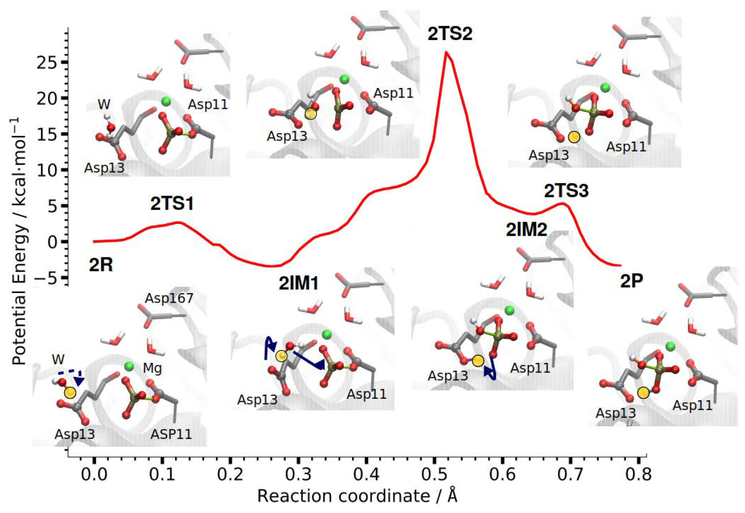 Molecules 23 03342 g007 Molecules 23 03342 g007