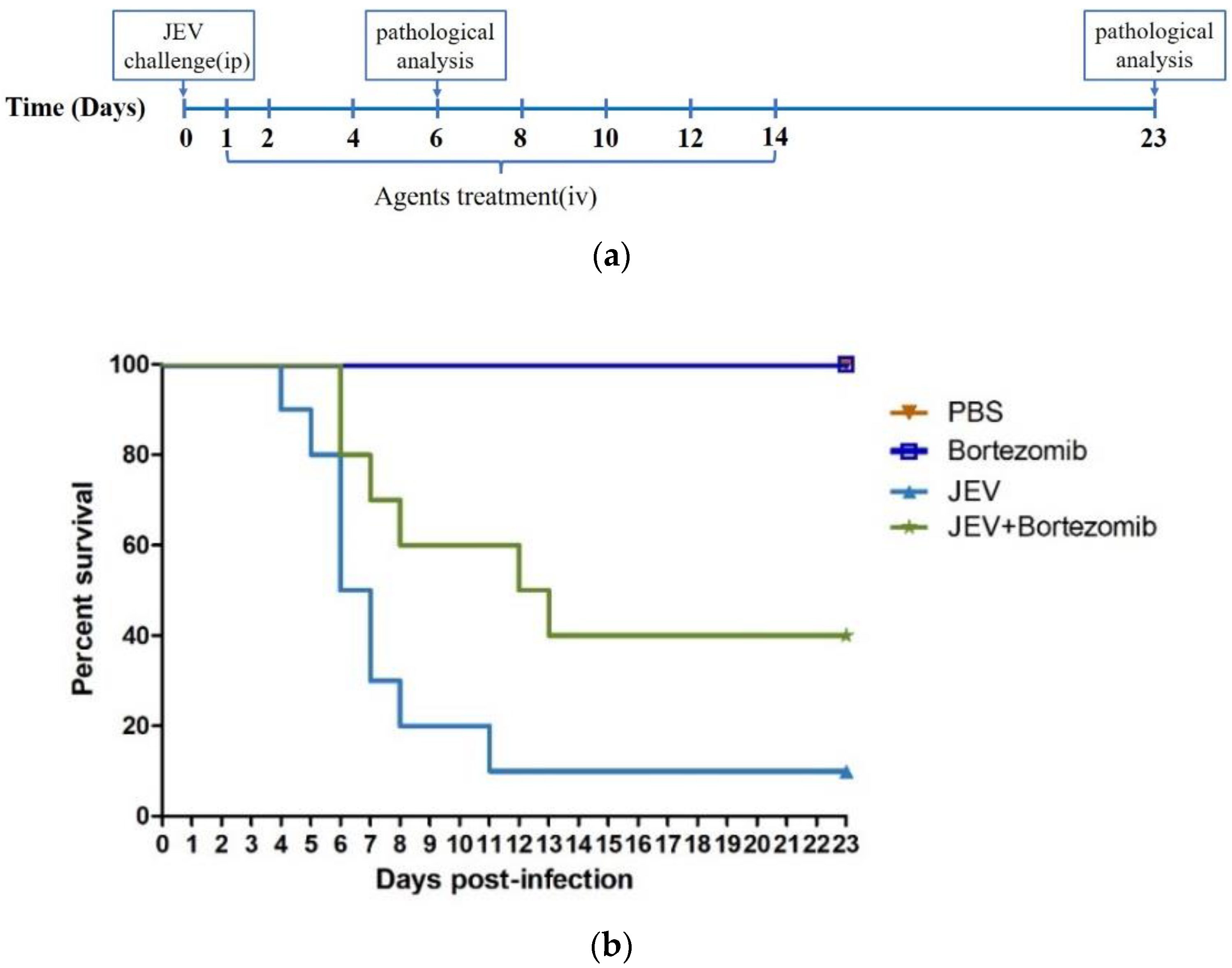 Molecules 23 03346 g005a