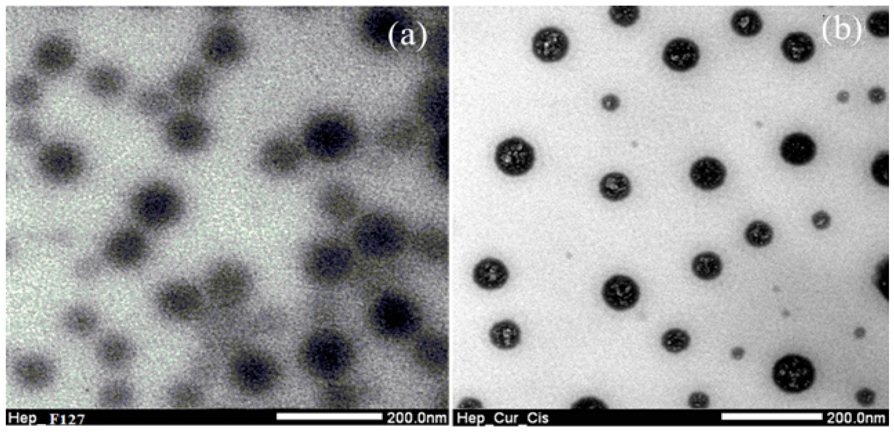 Molecules 23 03347 g003 Molecules 23 03347 g003