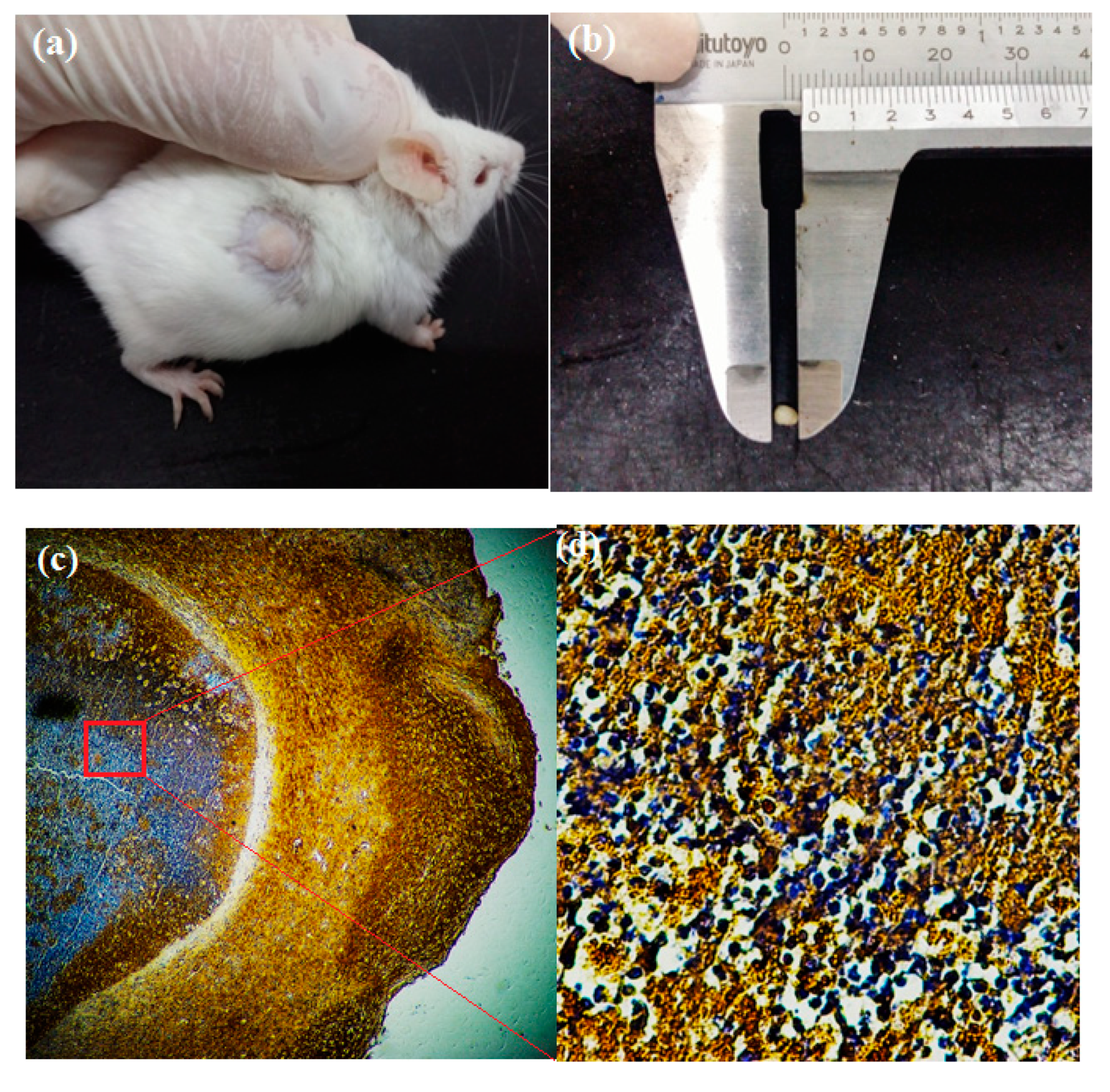 Molecules 23 03347 g006 Molecules 23 03347 g006