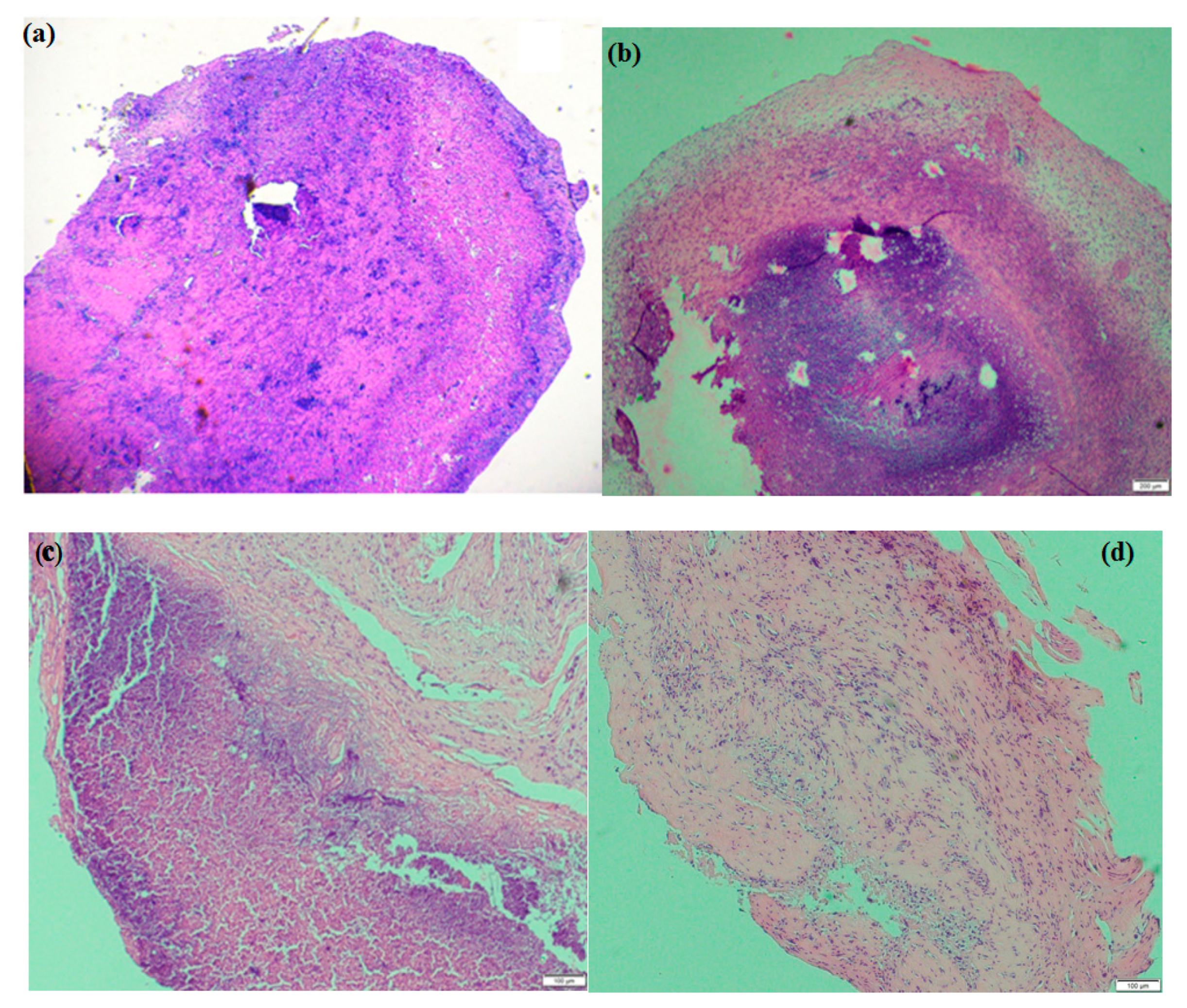 Molecules 23 03347 g009 Molecules 23 03347 g009