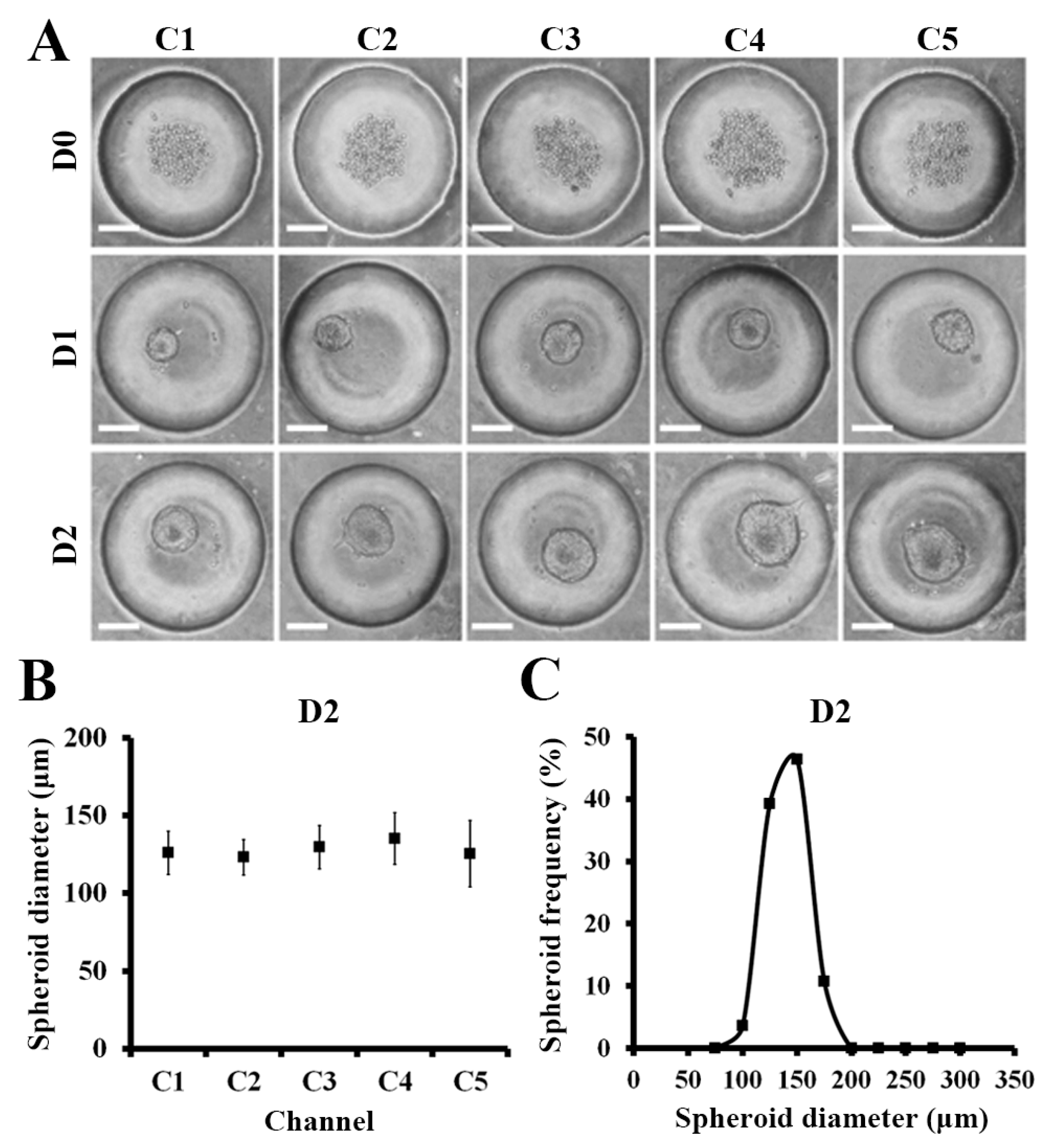 Molecules 23 03355 g003
