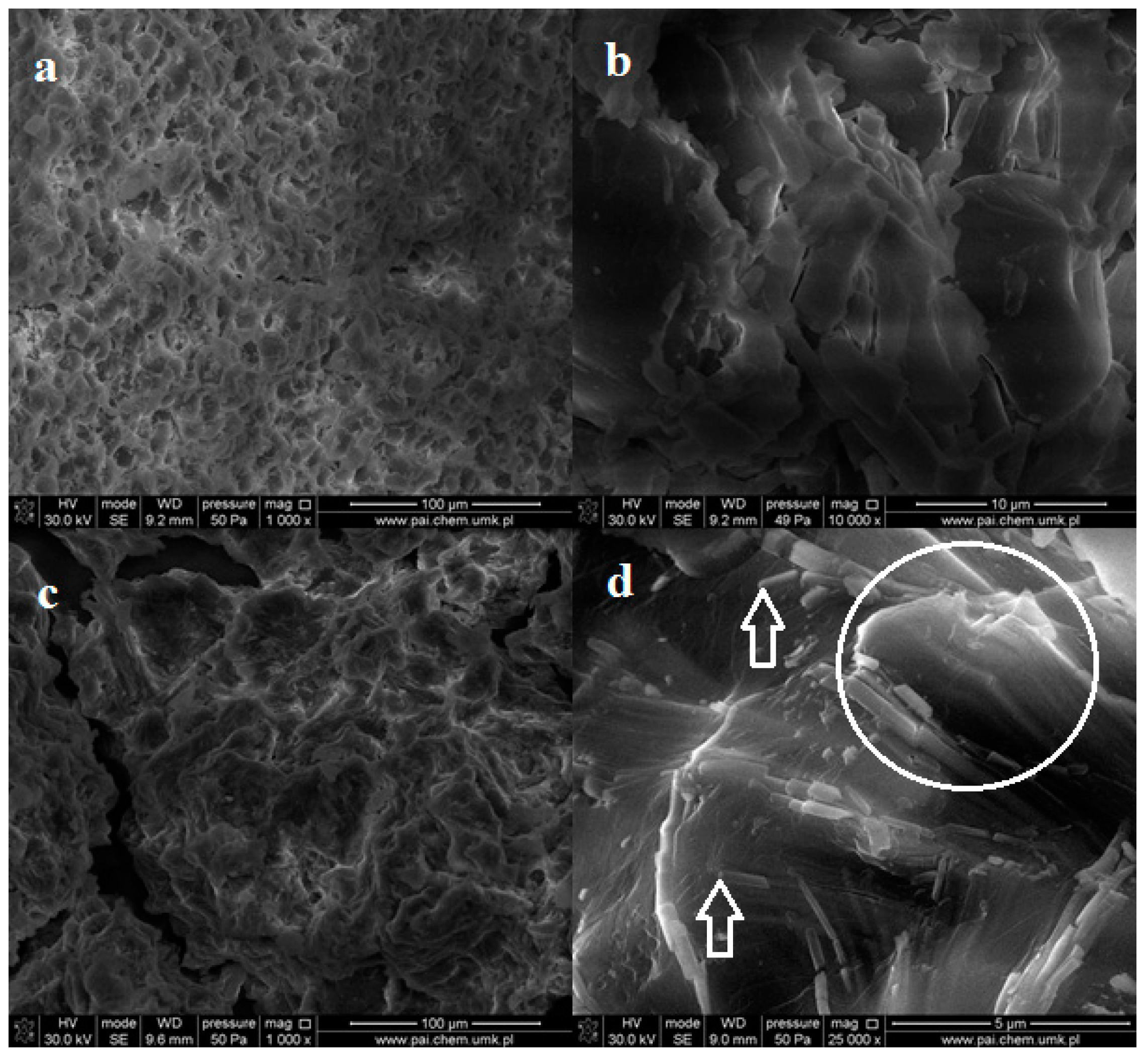 Molecules 23 03358 g009
