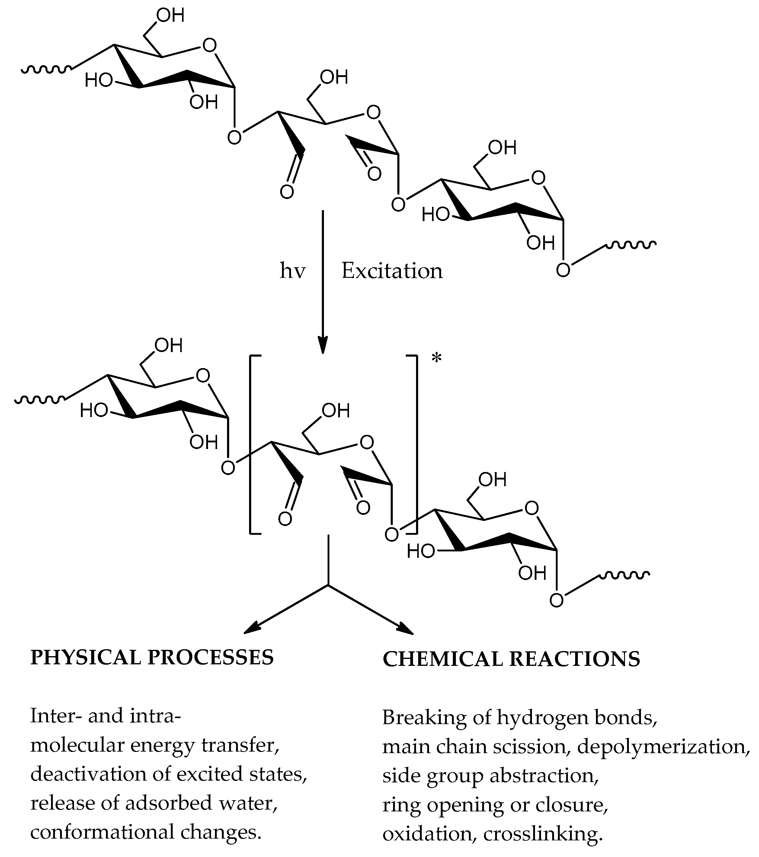 Molecules 23 03358 g011