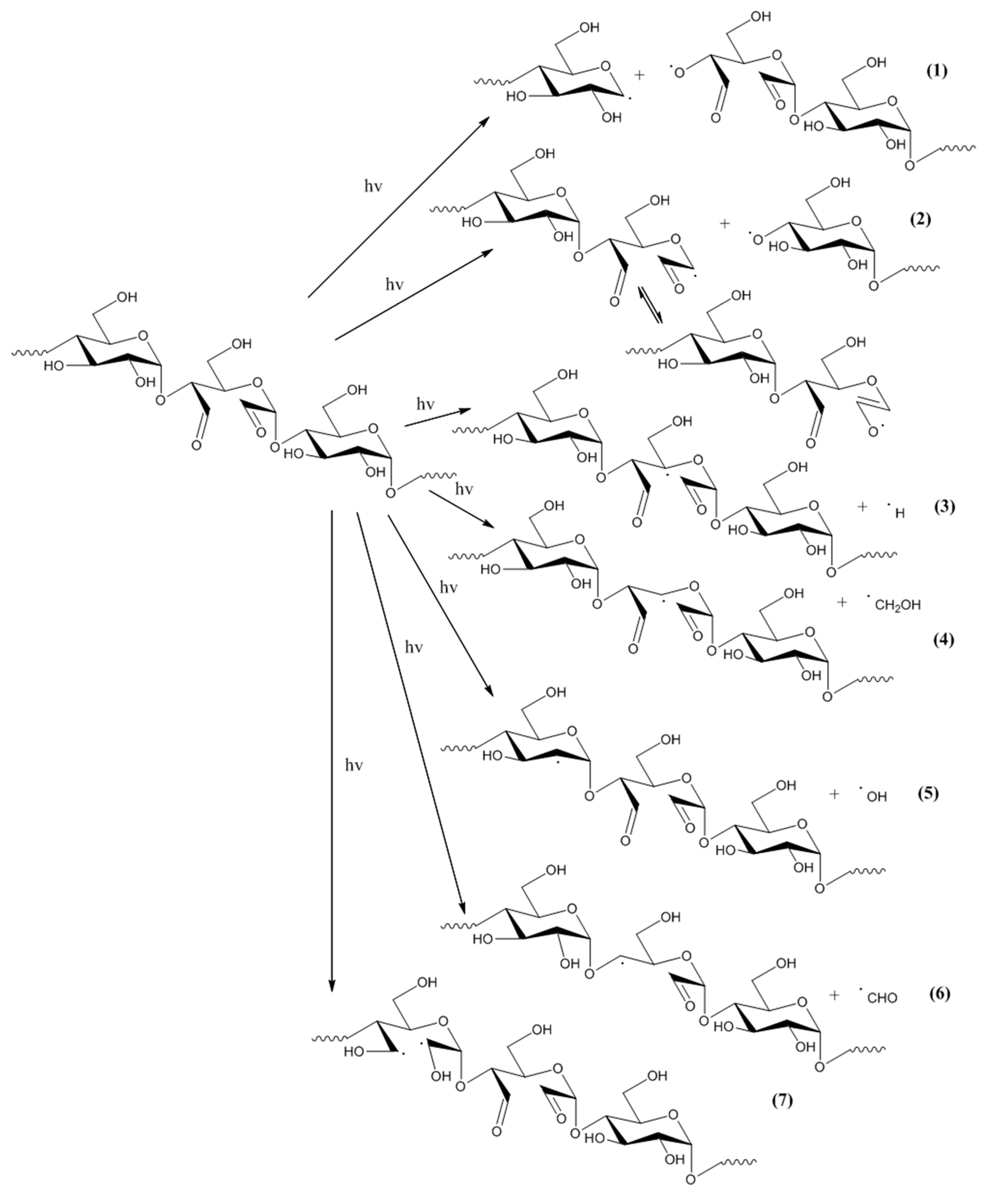Molecules 23 03358 g012