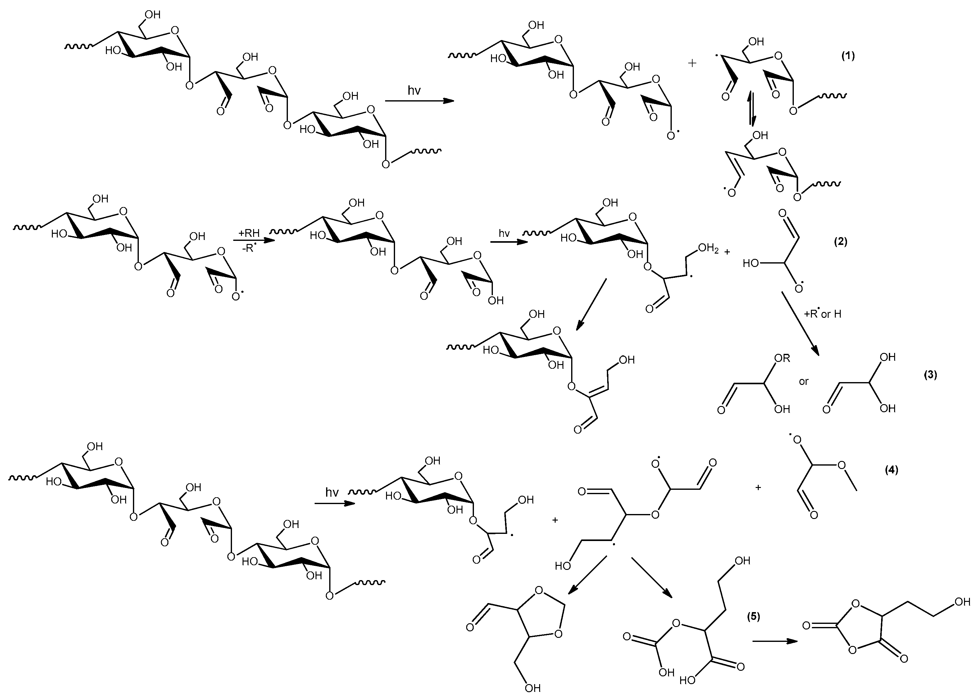 Molecules 23 03358 g014