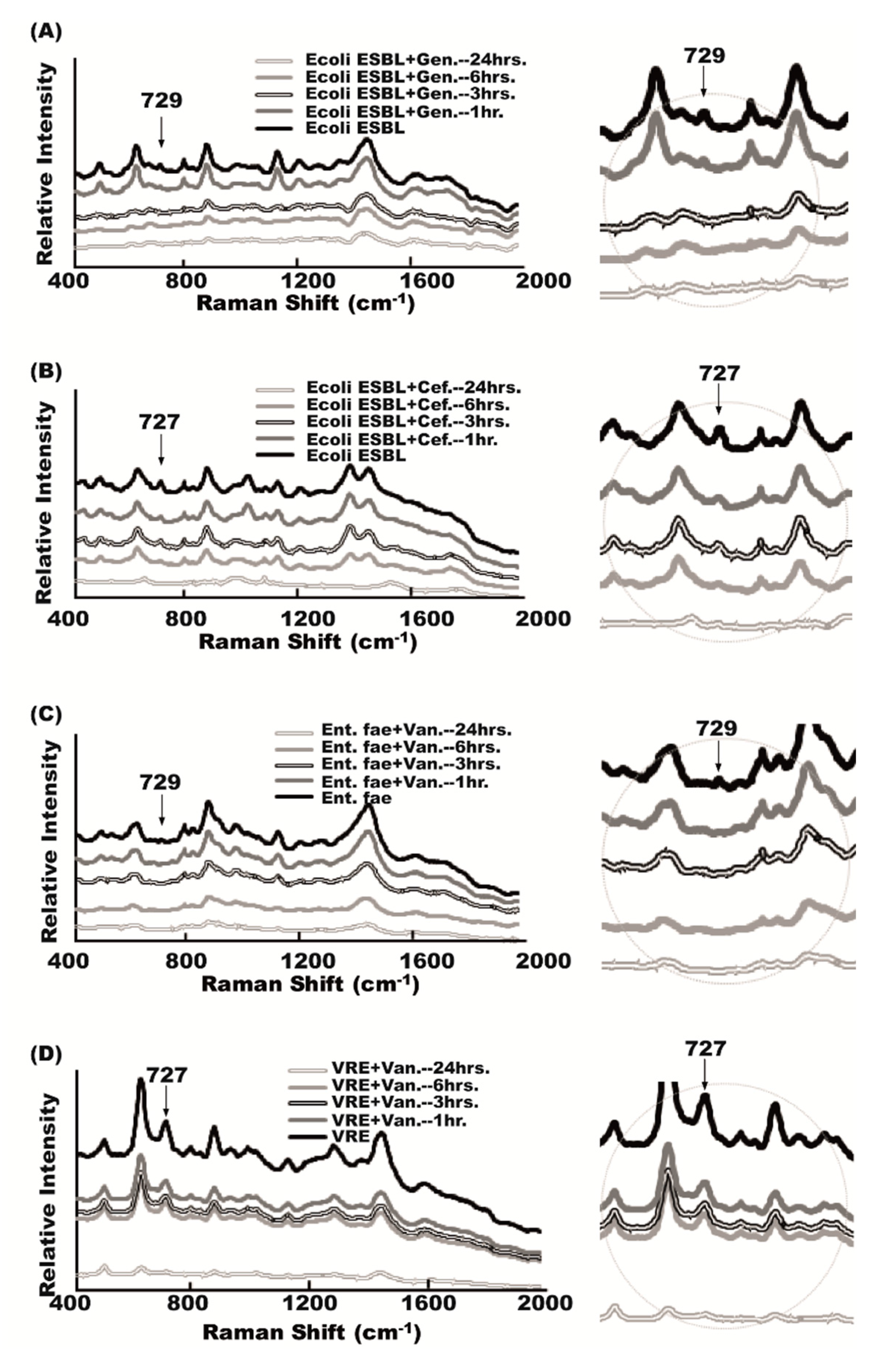 Molecules 23 03374 g006 Molecules 23 03374 g006