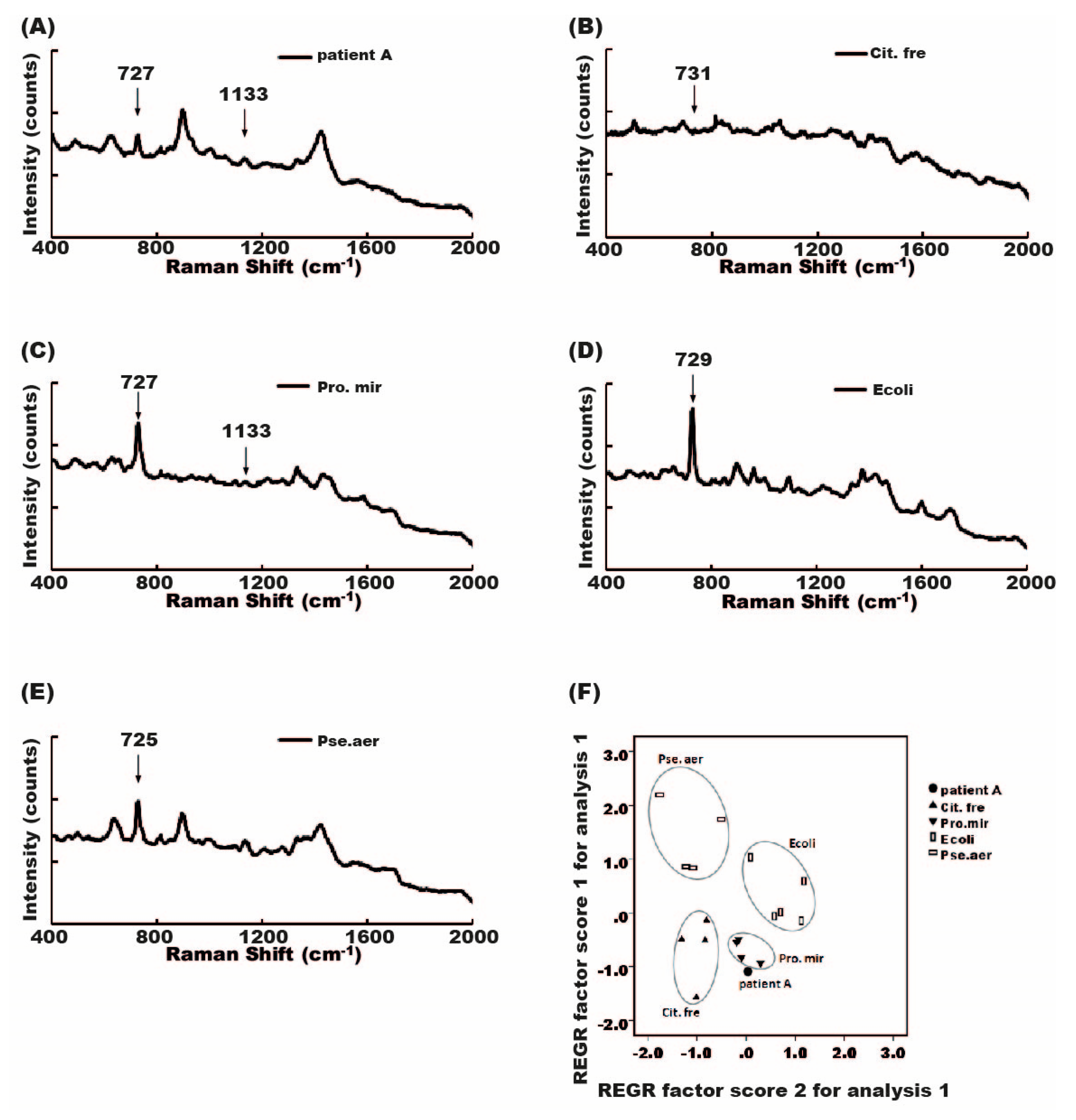 Molecules 23 03374 g007a Molecules 23 03374 g007a