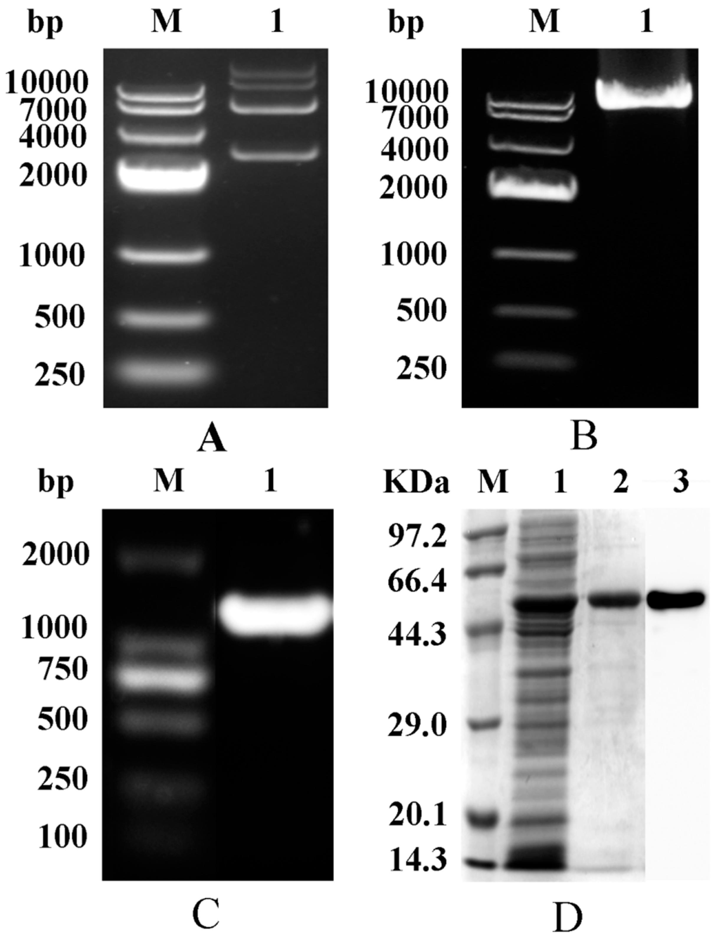 Molecules 23 03379 g002 Molecules 23 03379 g002