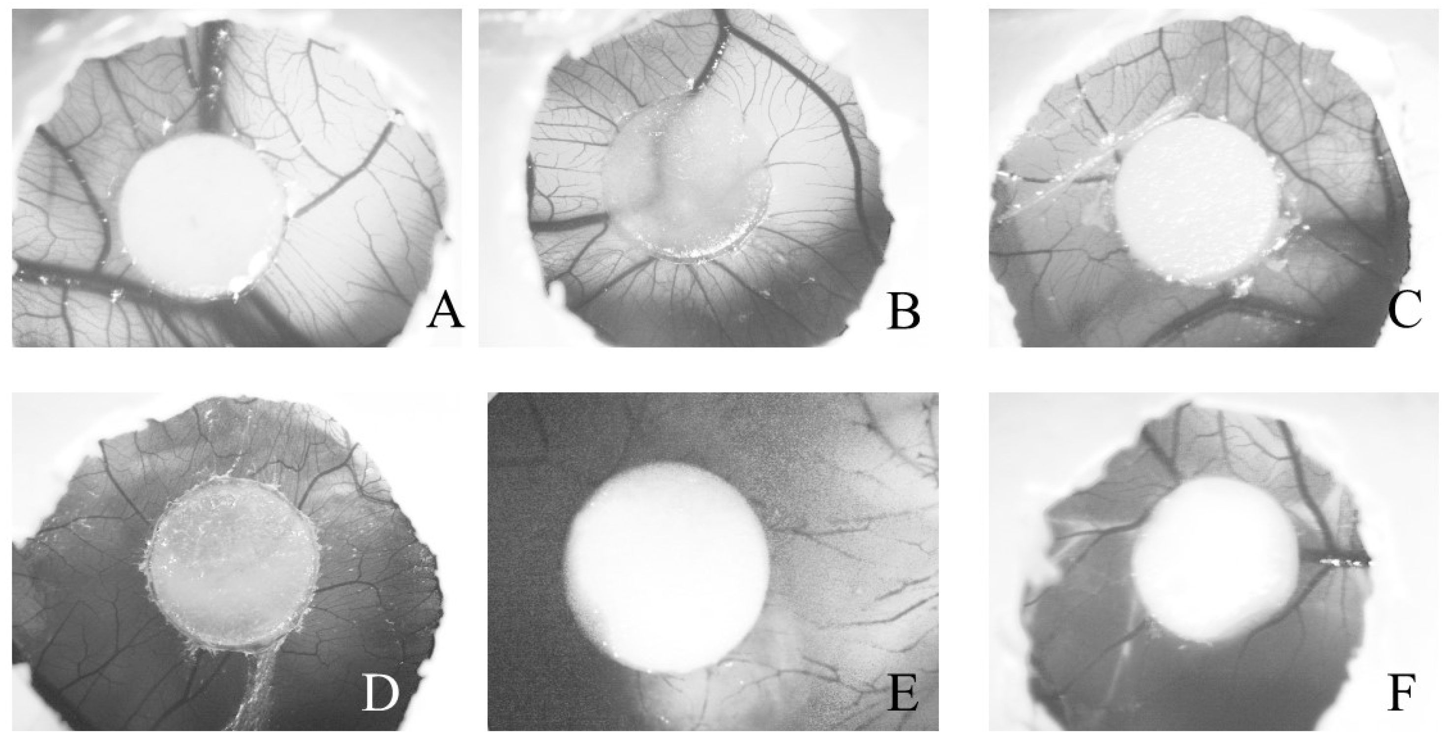 Molecules 24 00002 g006
