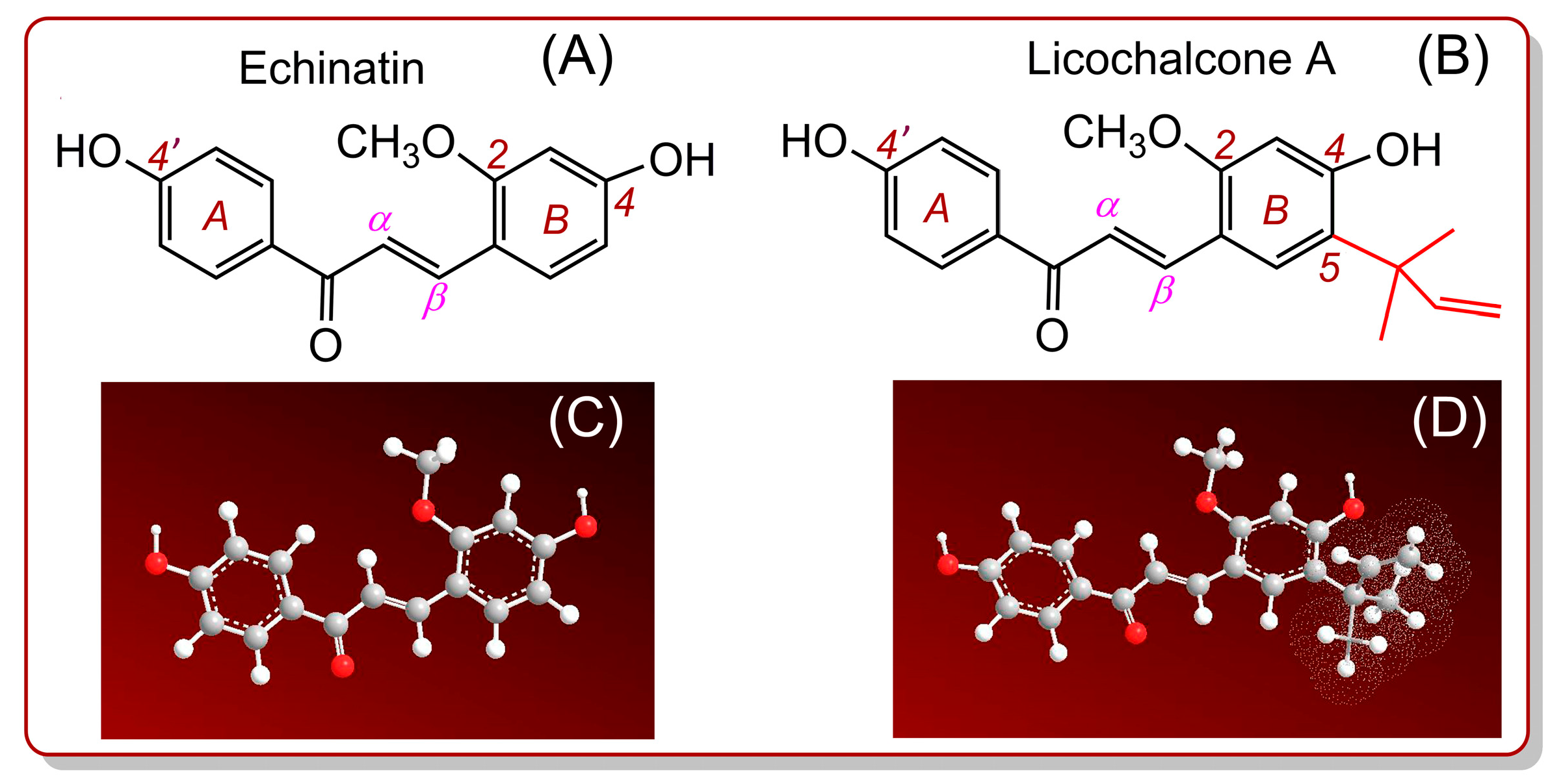 Molecules 24 00003 g001