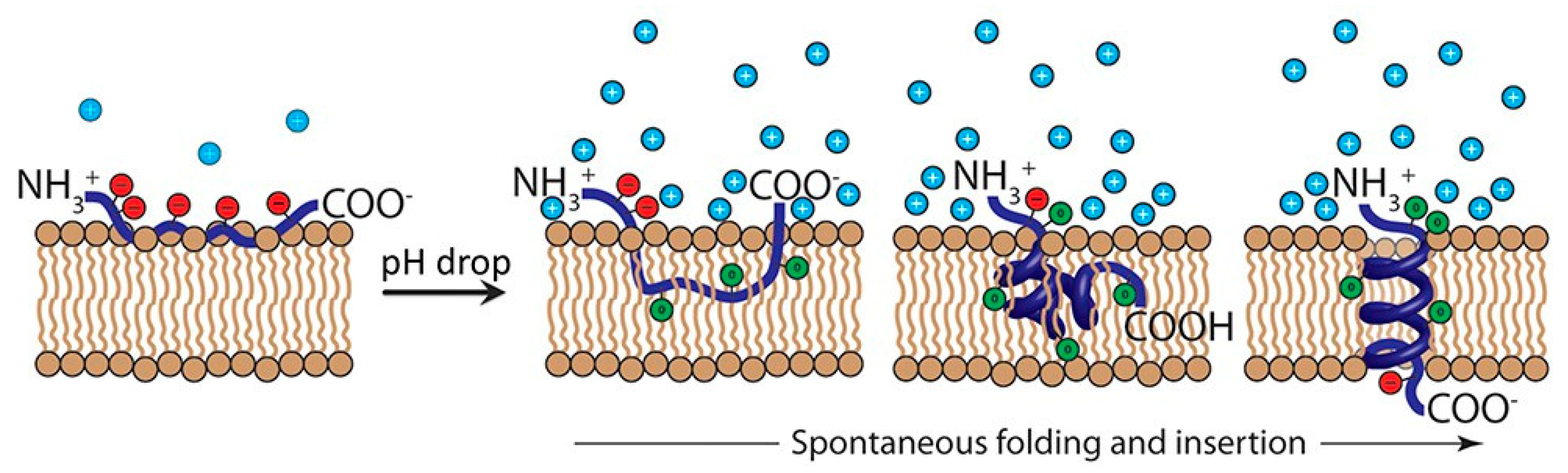 Molecules 24 00004 g002