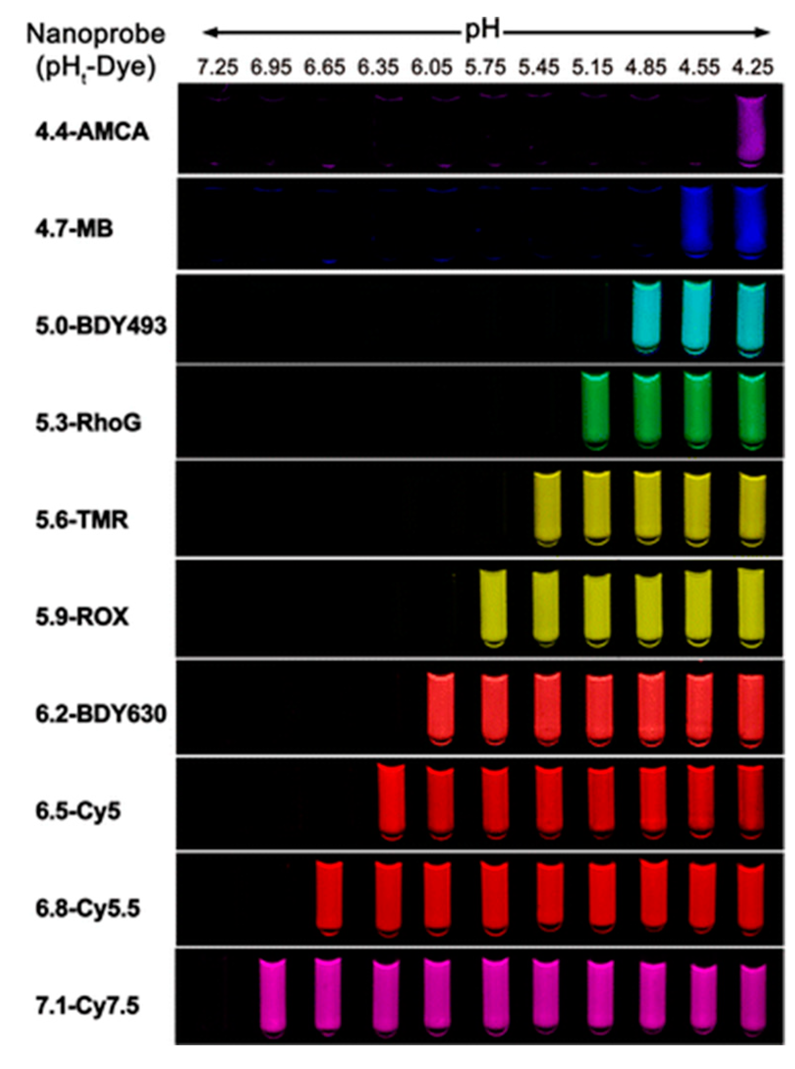 Molecules 24 00004 g010