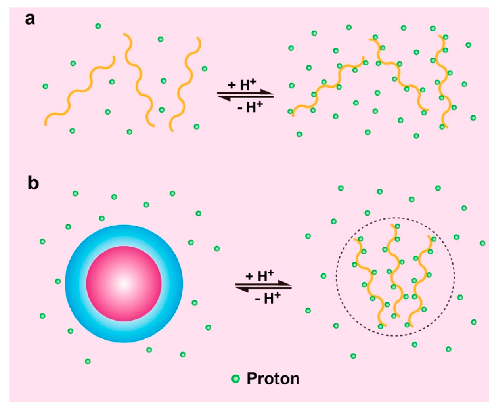 Molecules 24 00004 g011