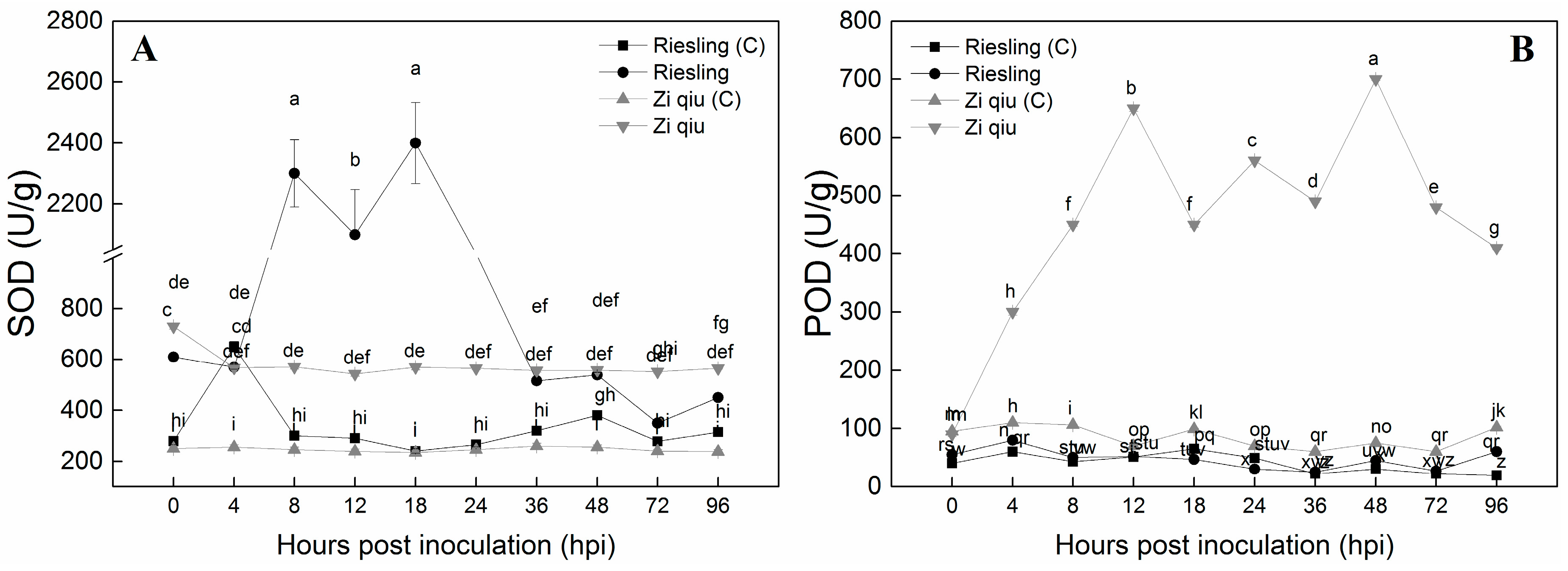 Molecules 24 00005 g004