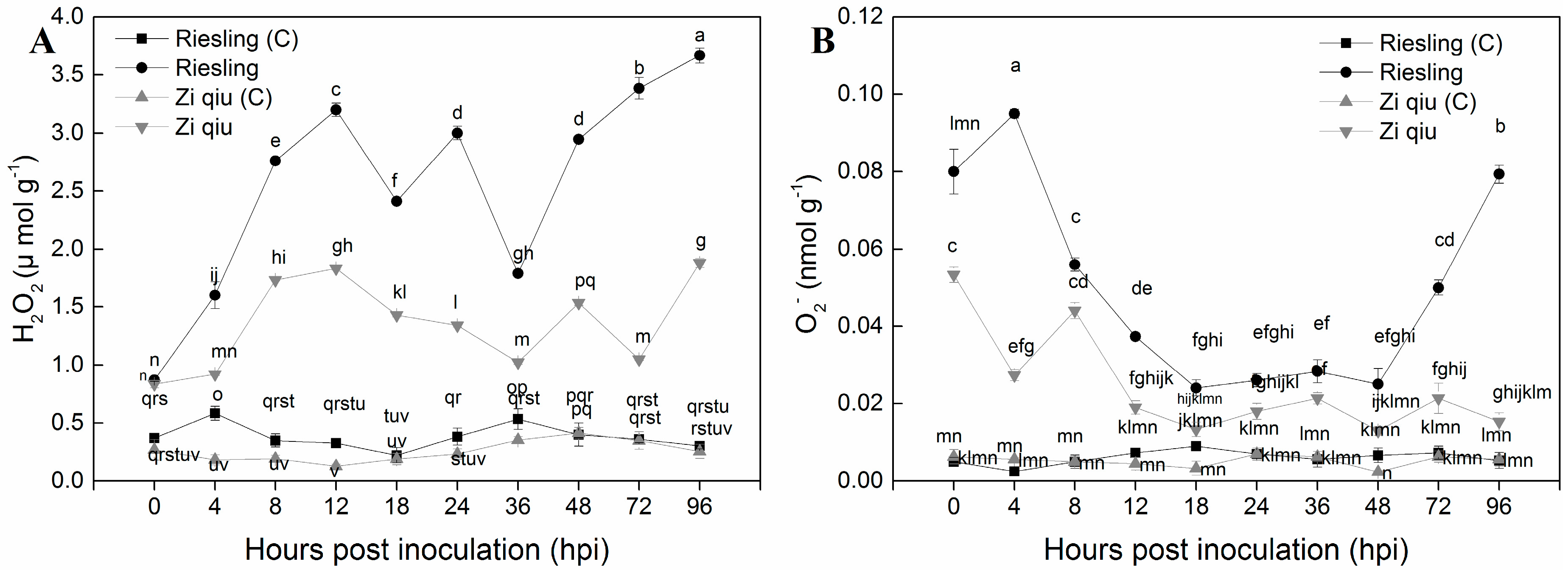 Molecules 24 00005 g005