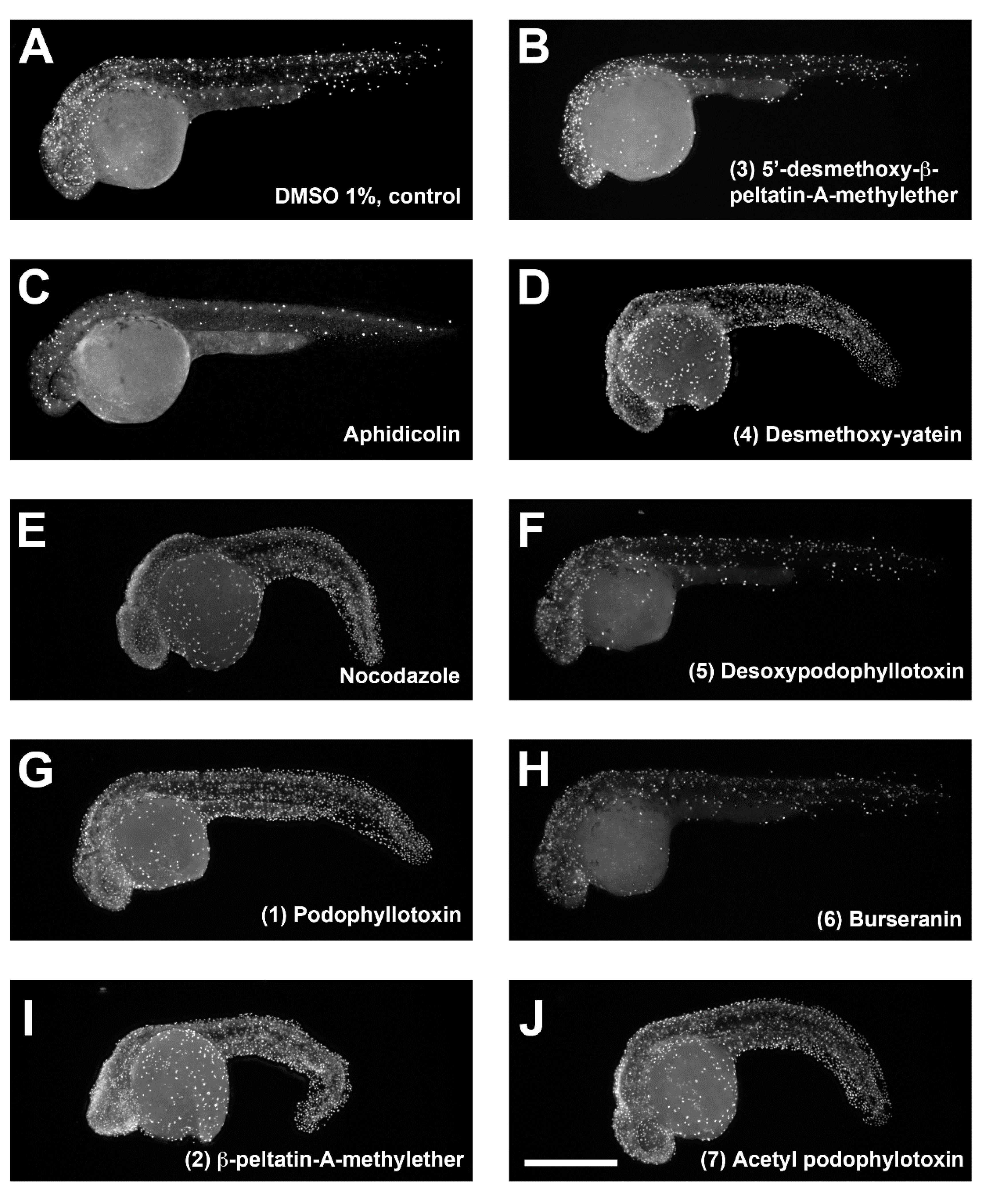 Molecules 24 00008 g003