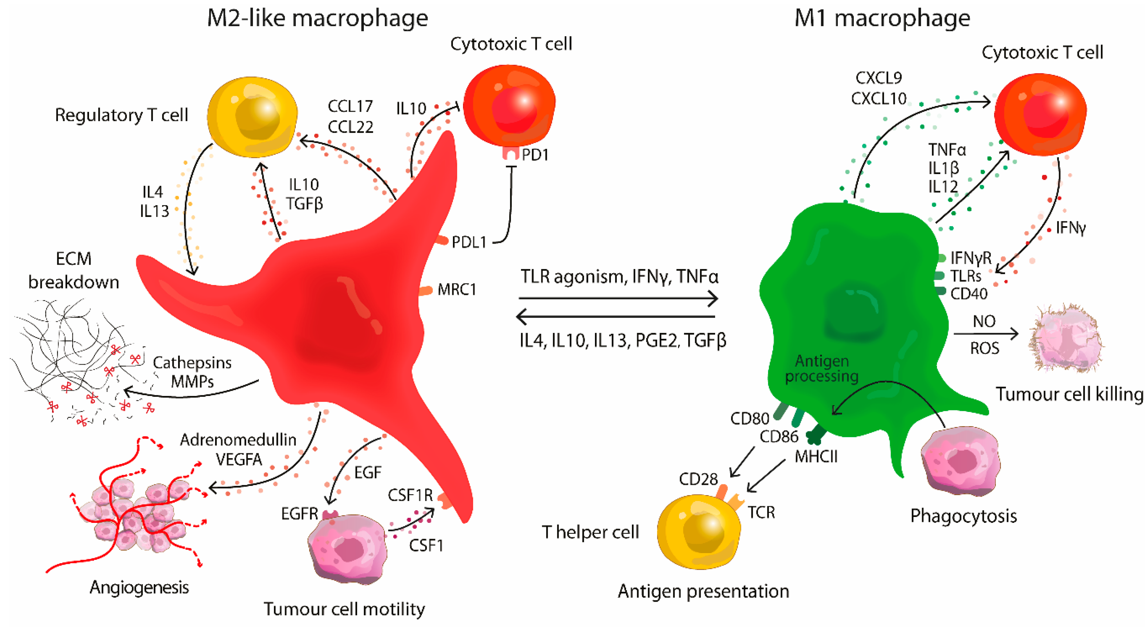 Molecules 24 00009 g001