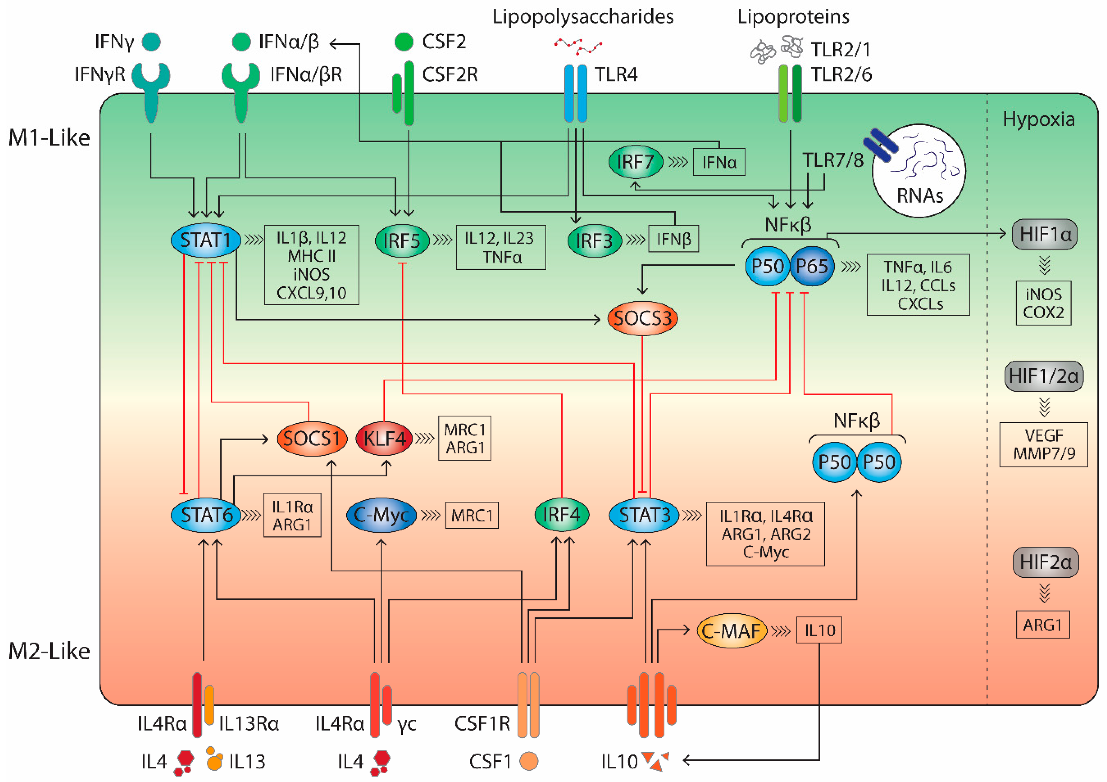 Molecules 24 00009 g002