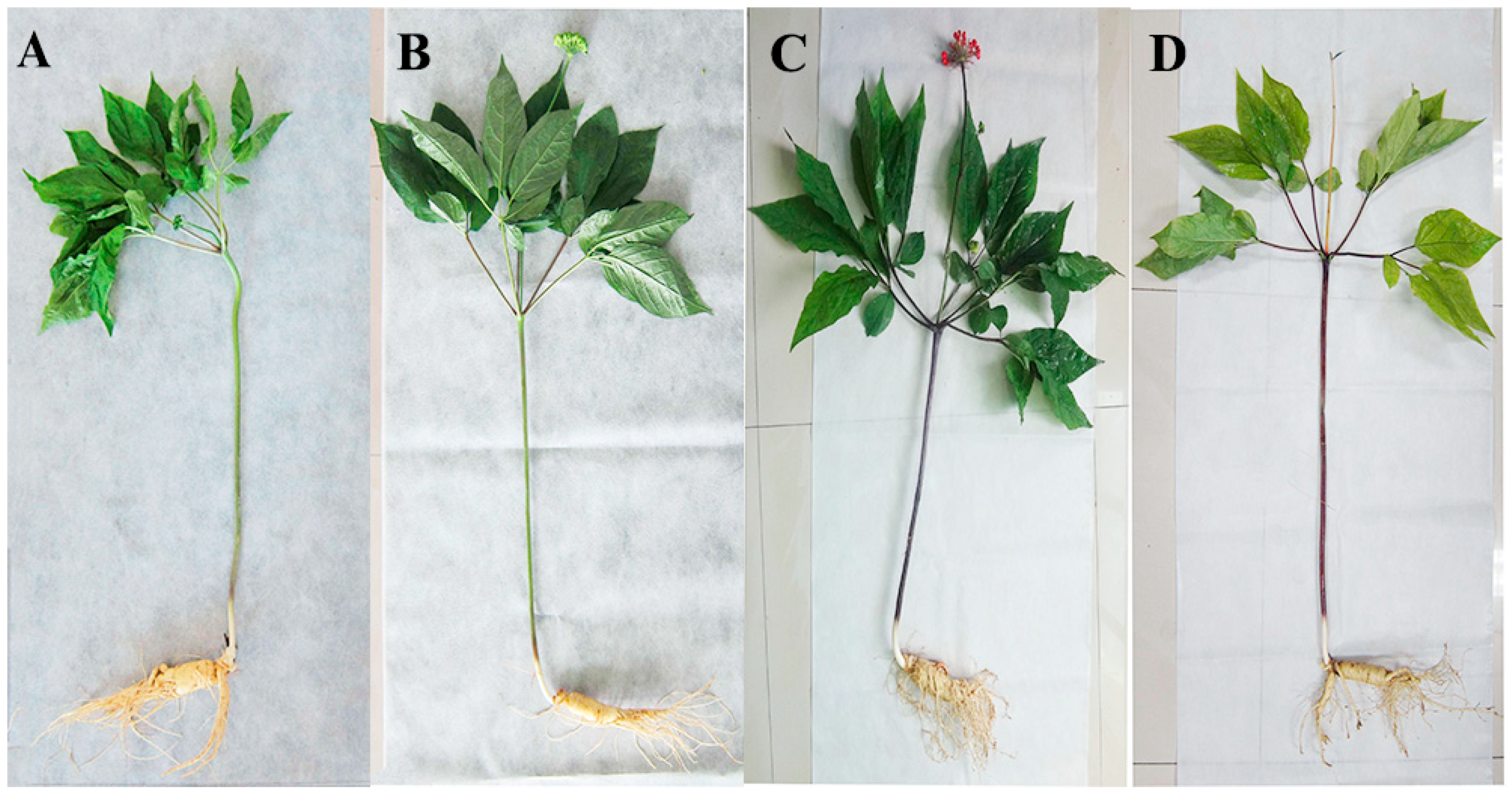 Molecules 24 00014 g009 Molecules 24 00014 g009