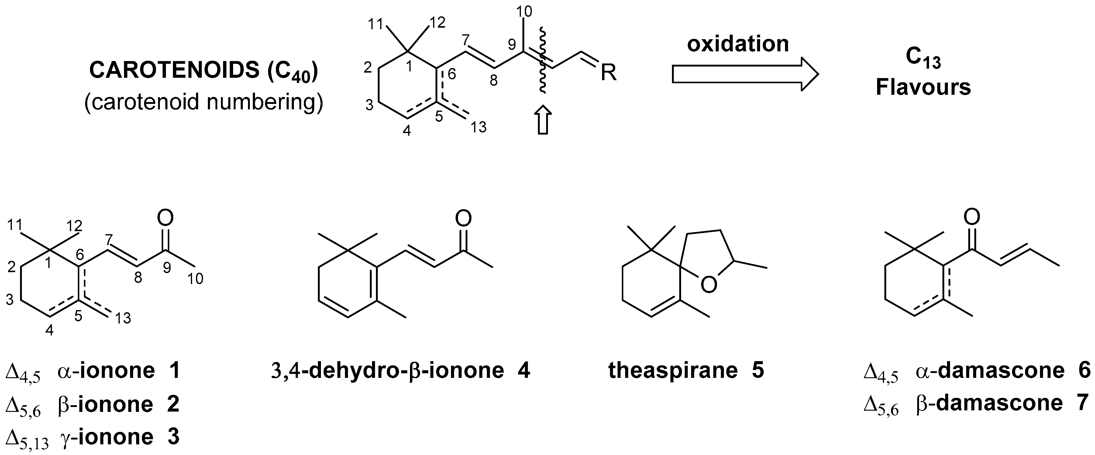 Molecules 24 00019 g001