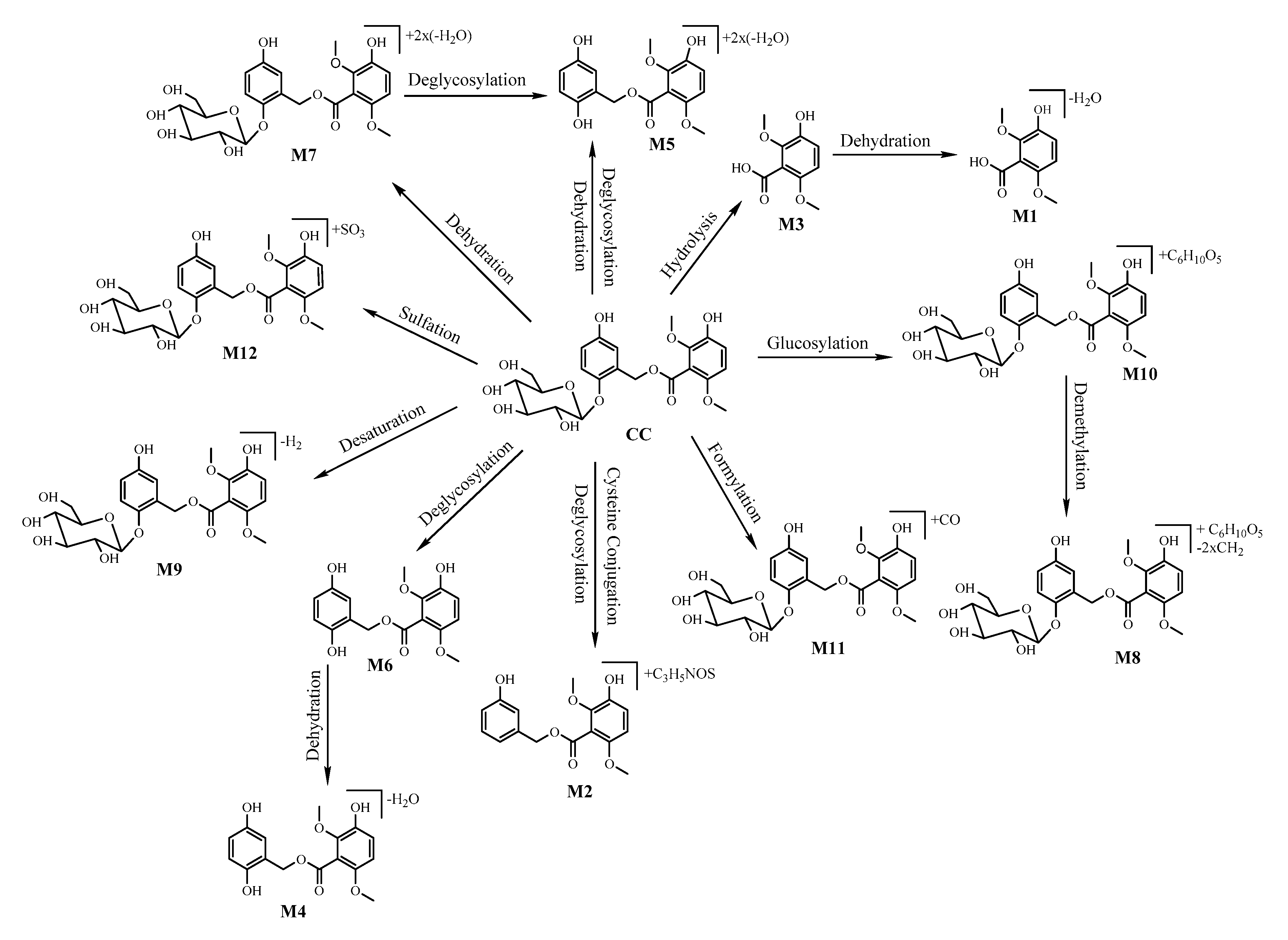 Molecules 24 00021 g004