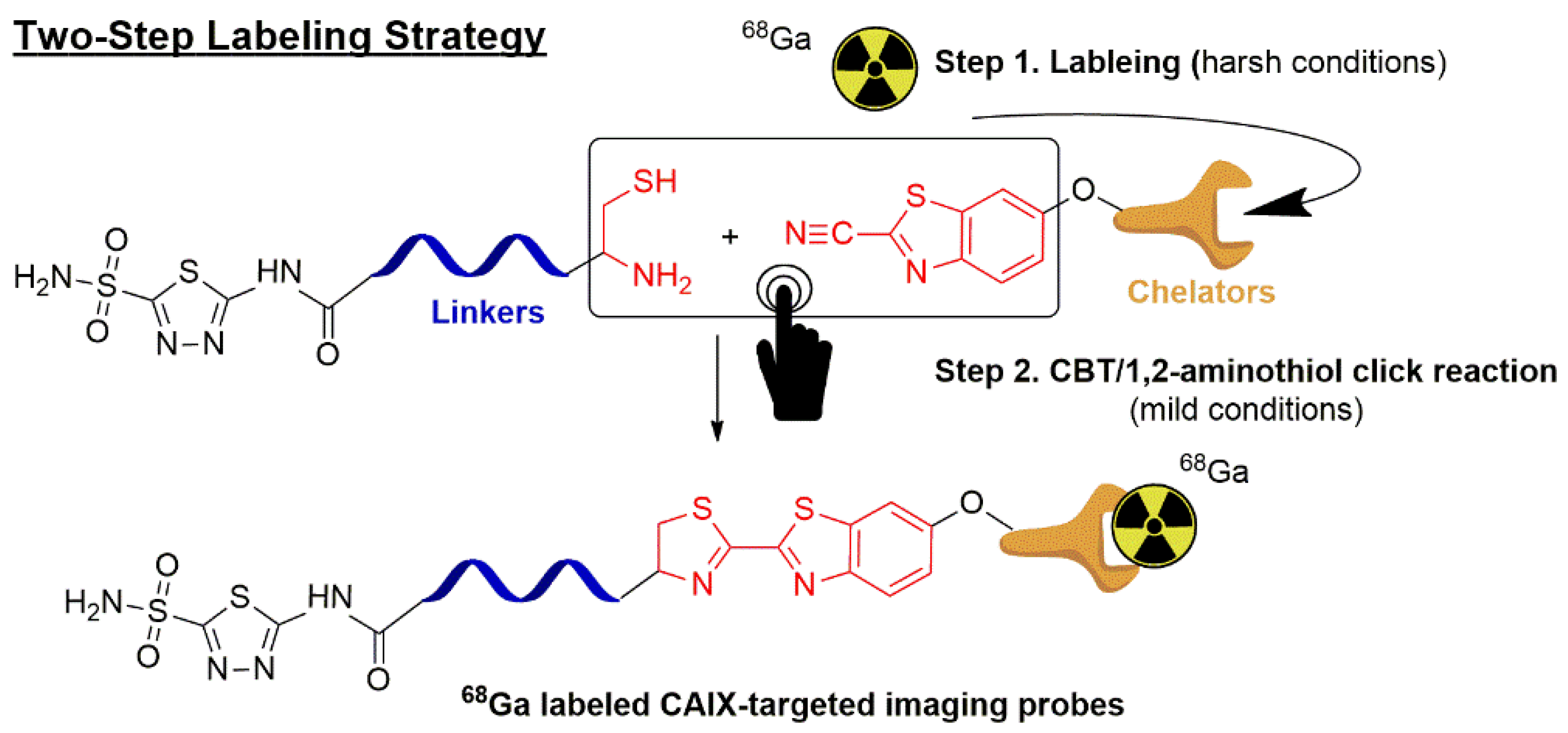 Molecules 24 00023 g001