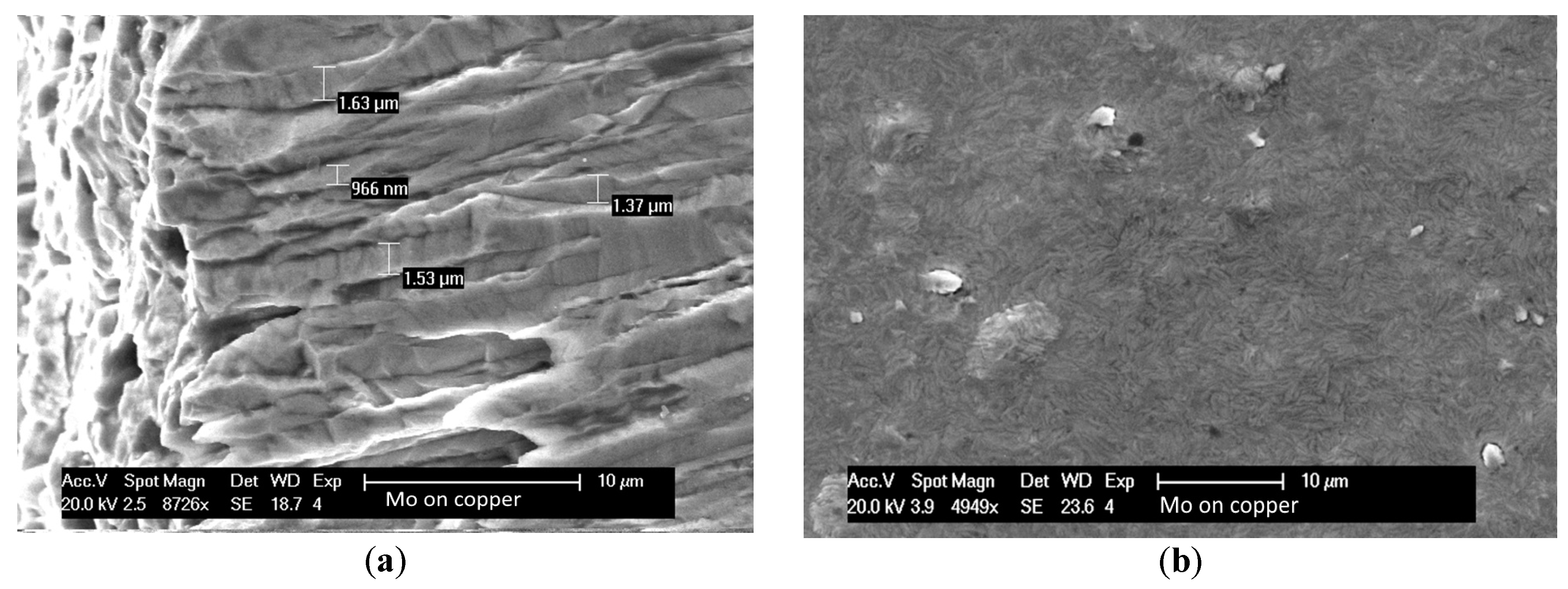 Molecules 24 00025 g008 Molecules 24 00025 g008