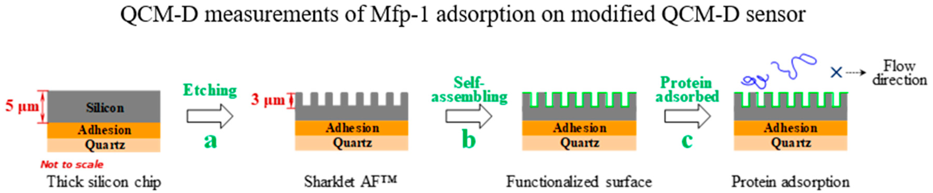 Molecules 24 00027 g003a Molecules 24 00027 g003a