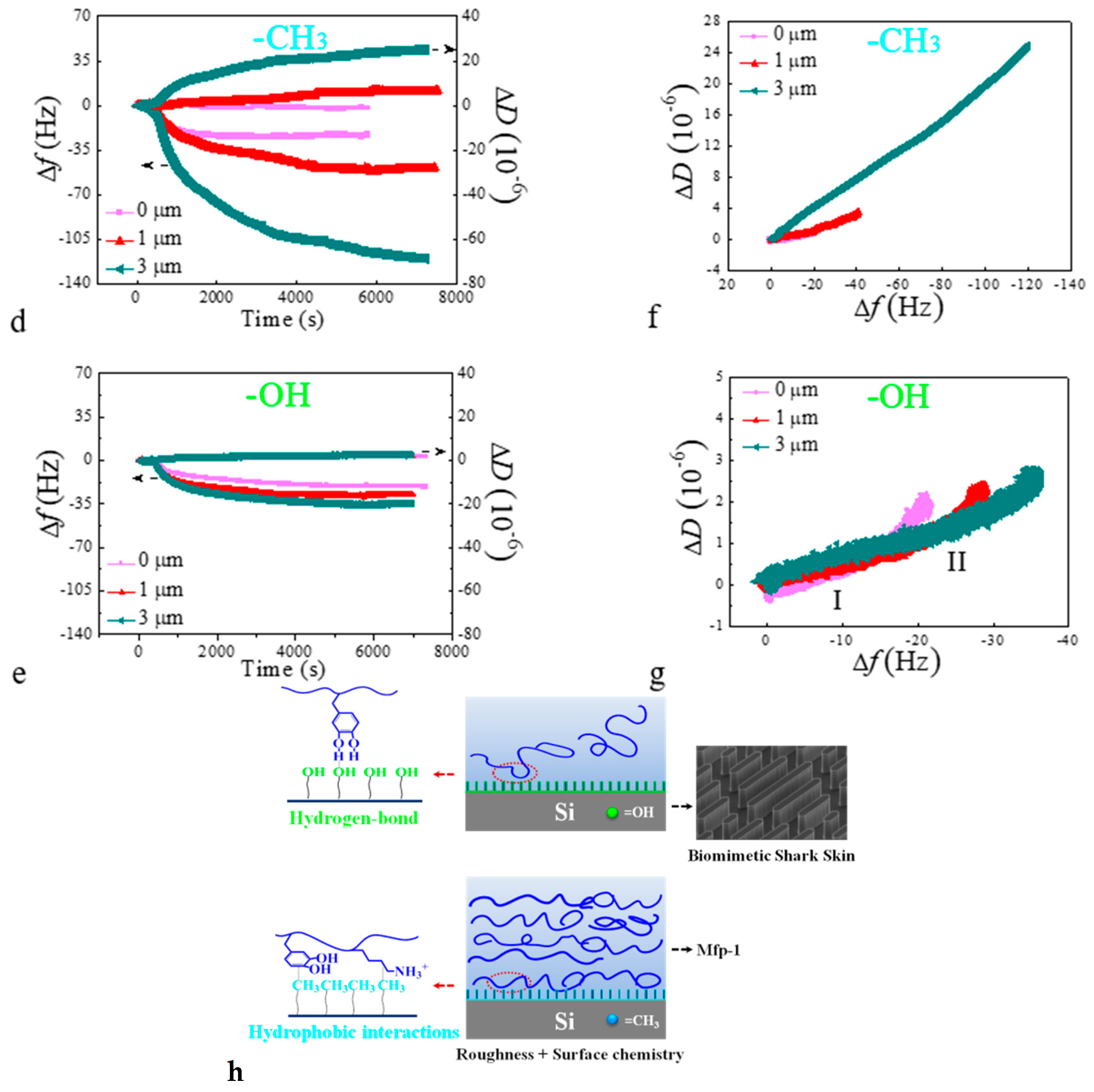Molecules 24 00027 g003b Molecules 24 00027 g003b