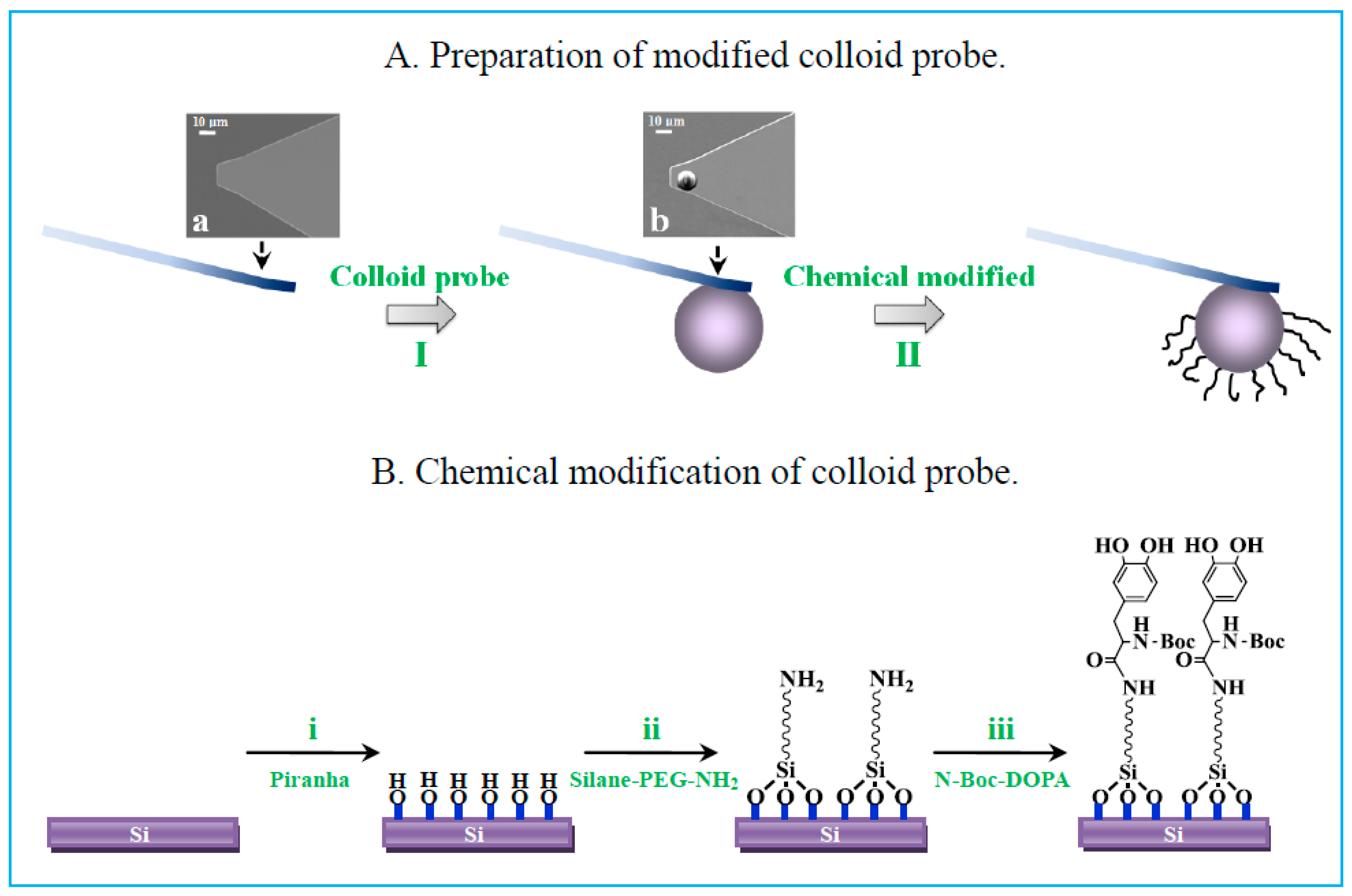 Molecules 24 00027 g004 Molecules 24 00027 g004